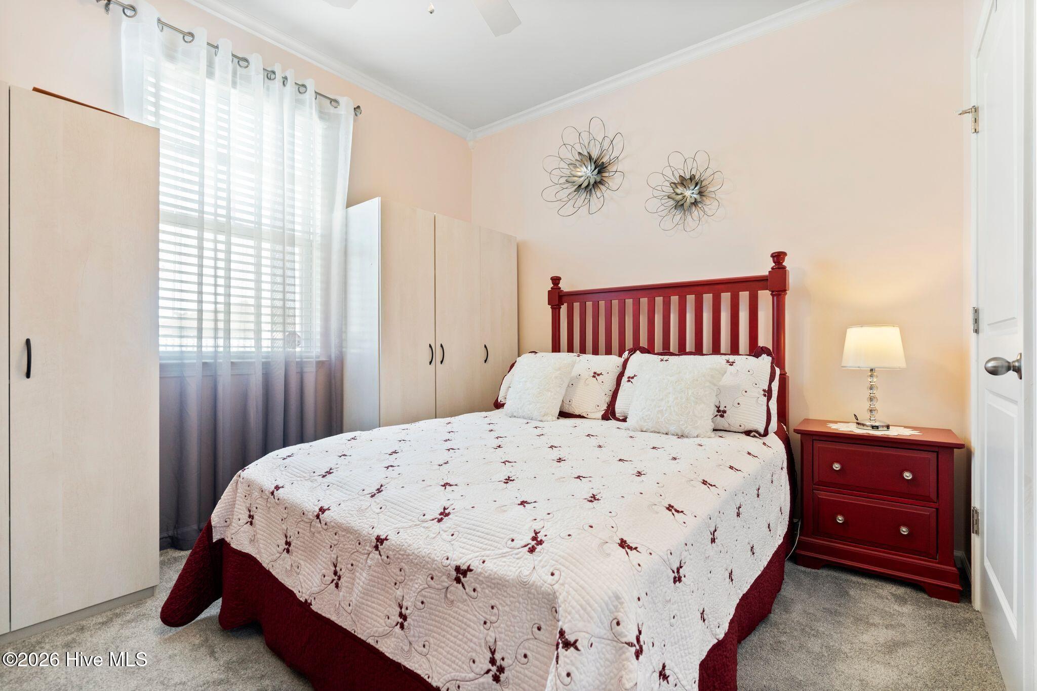 100550283 | Photo 38