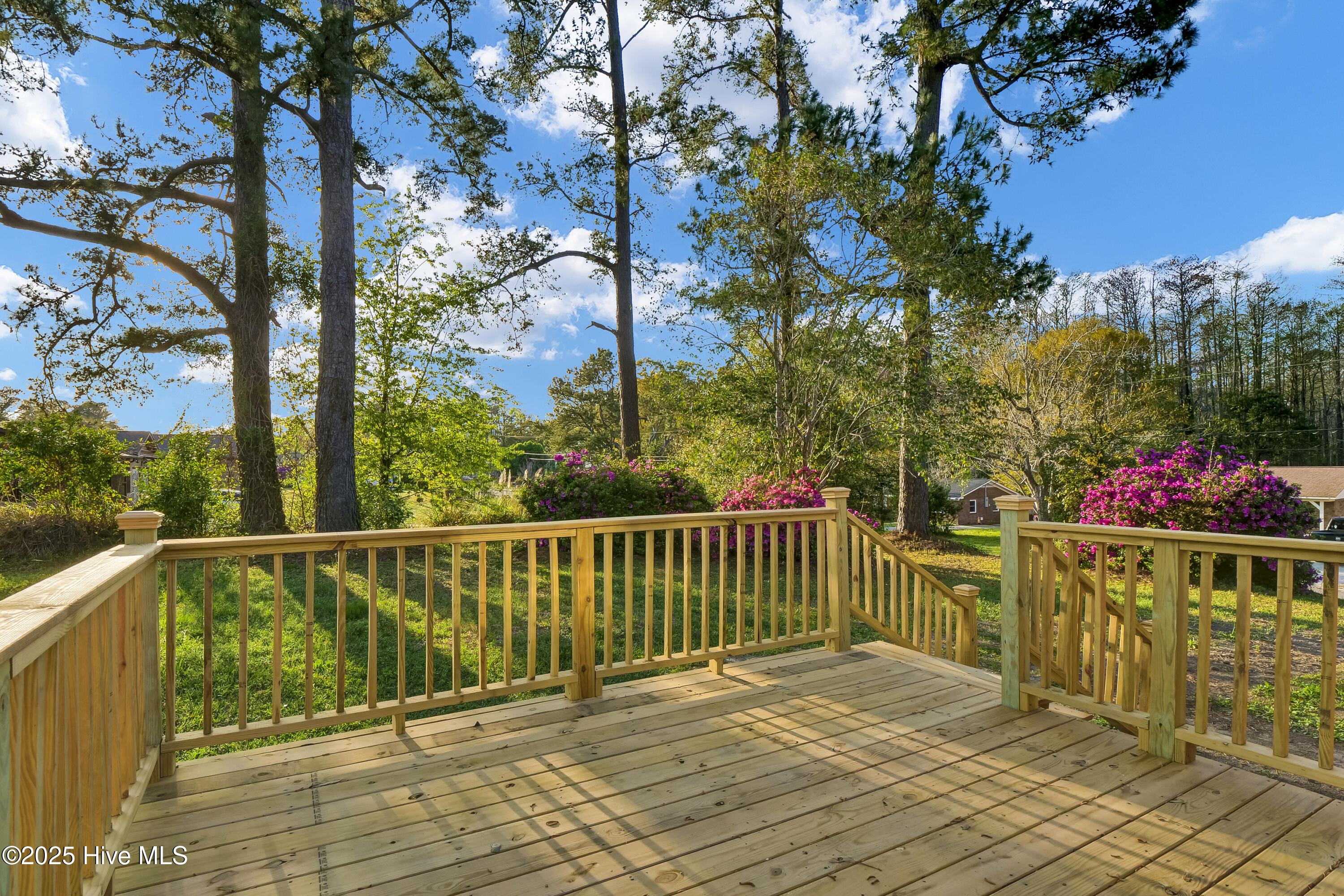 100555284 | Photo 22