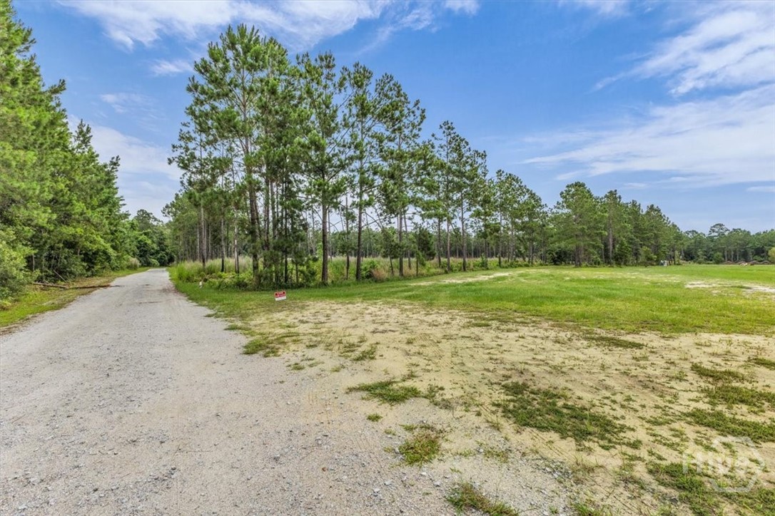 2nd image of Tbd Wood Grove Ln, Richmond Hill, GA 31324 | MLS# SA359103