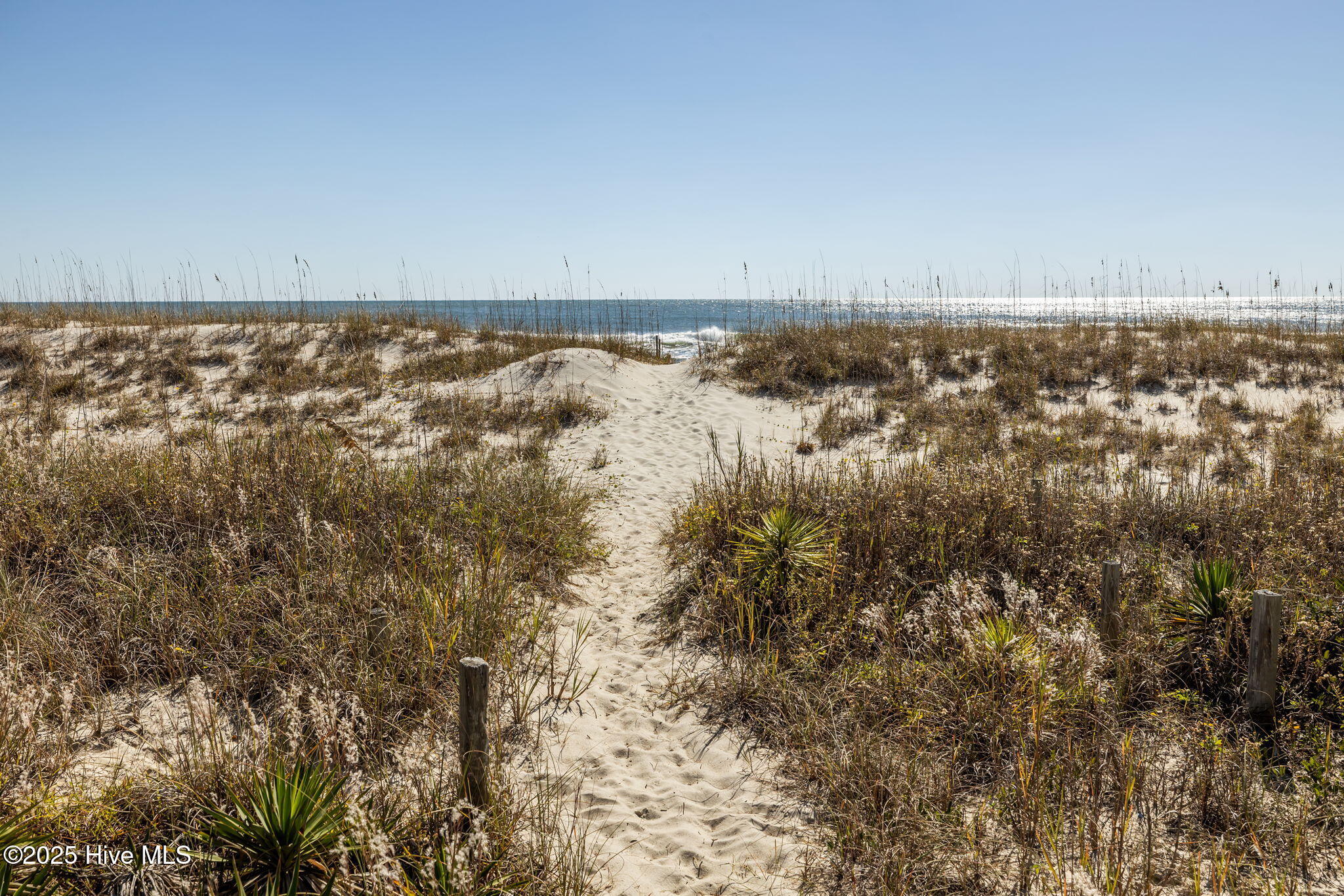 100539750 | Photo 14