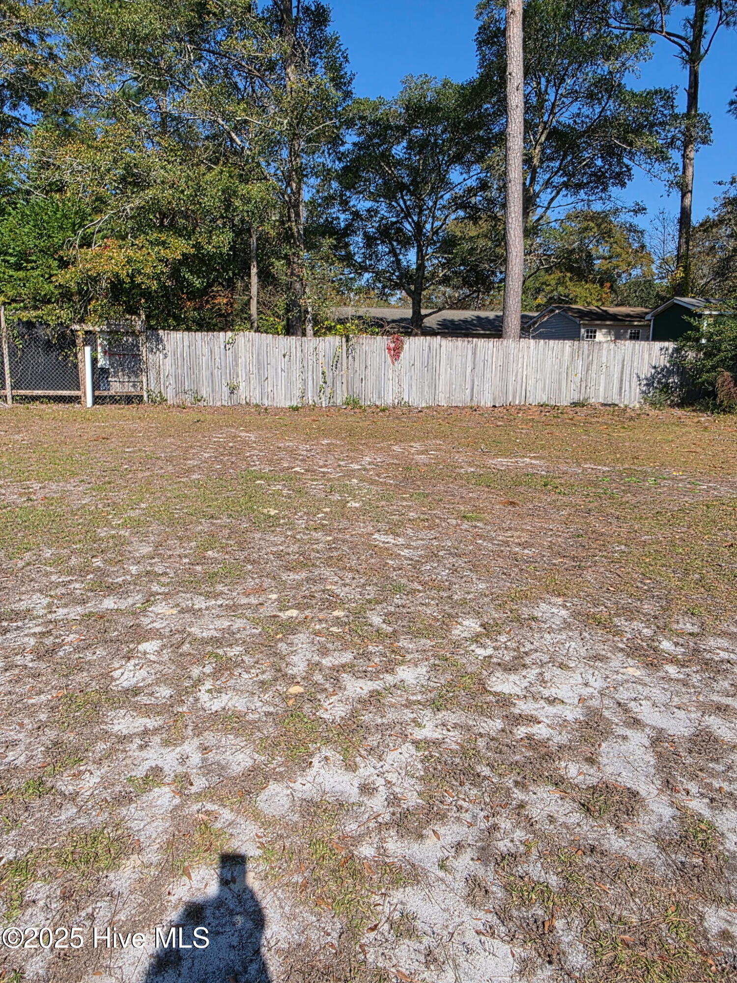 100546762 | Photo 12