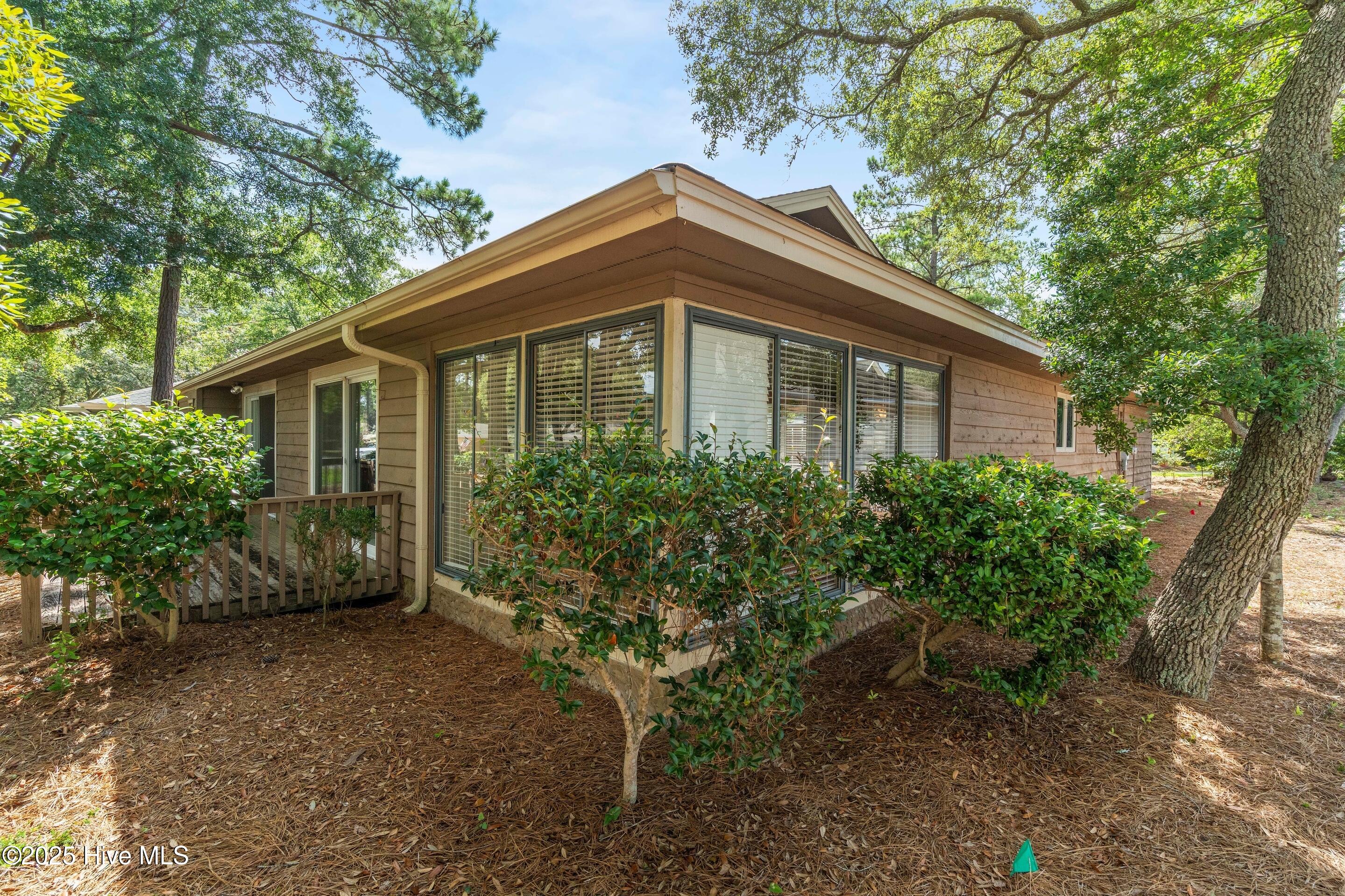 100517160 | Photo 11