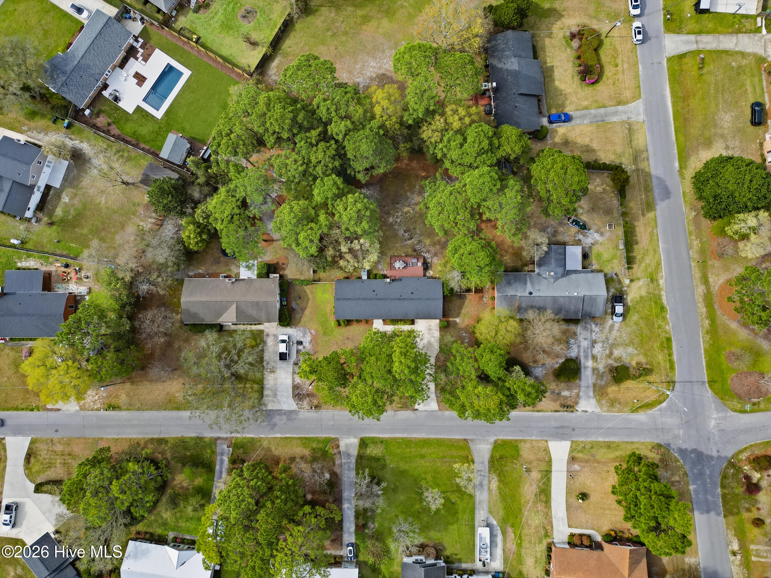 100561362 | Photo 50