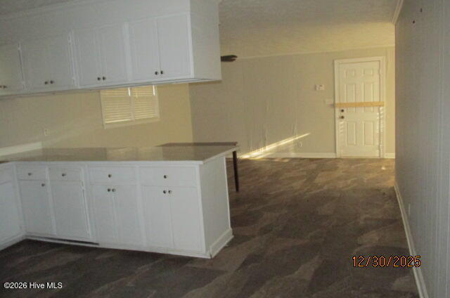 100548976 | Photo 14