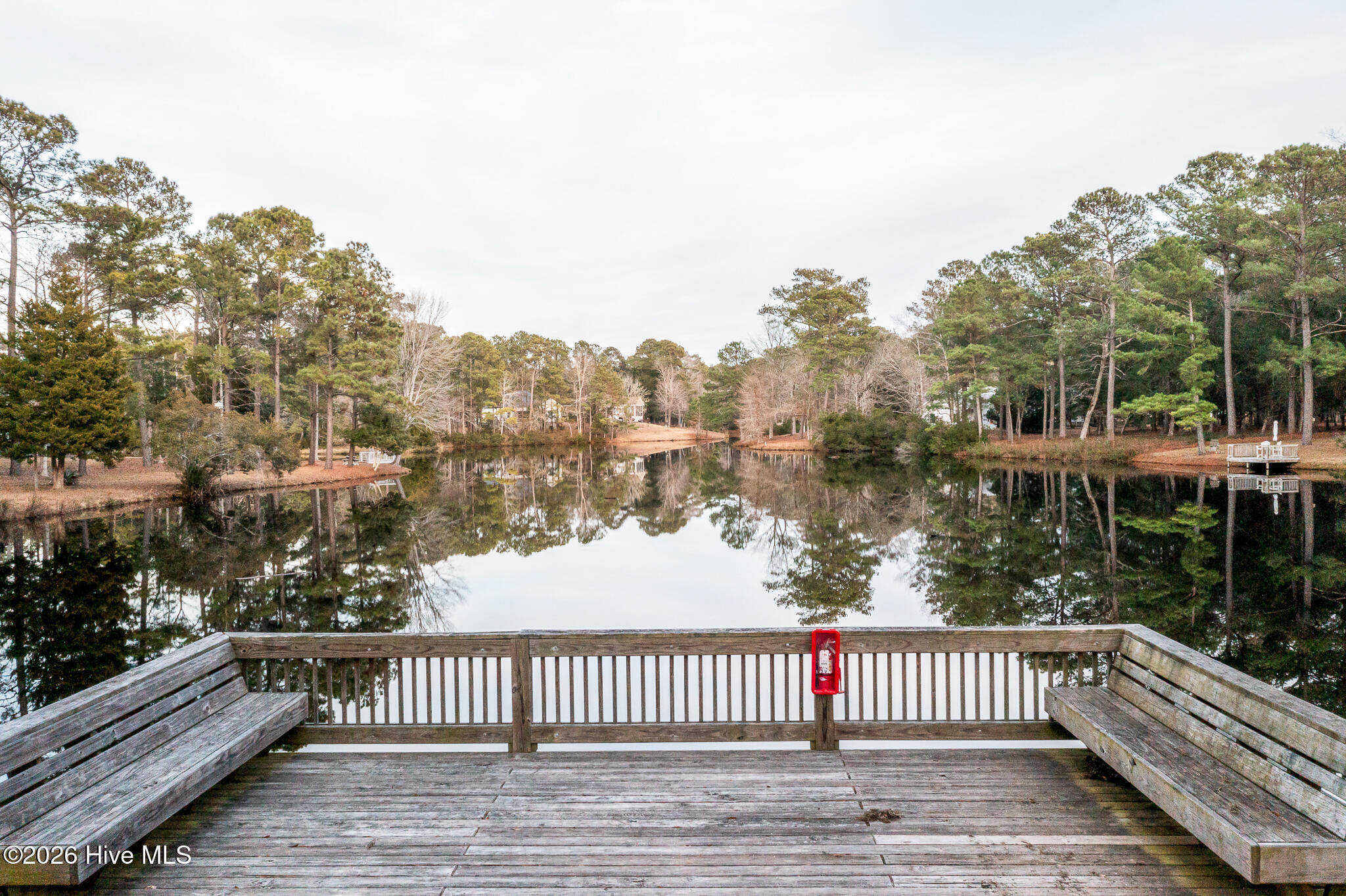 100549420 | Photo 46