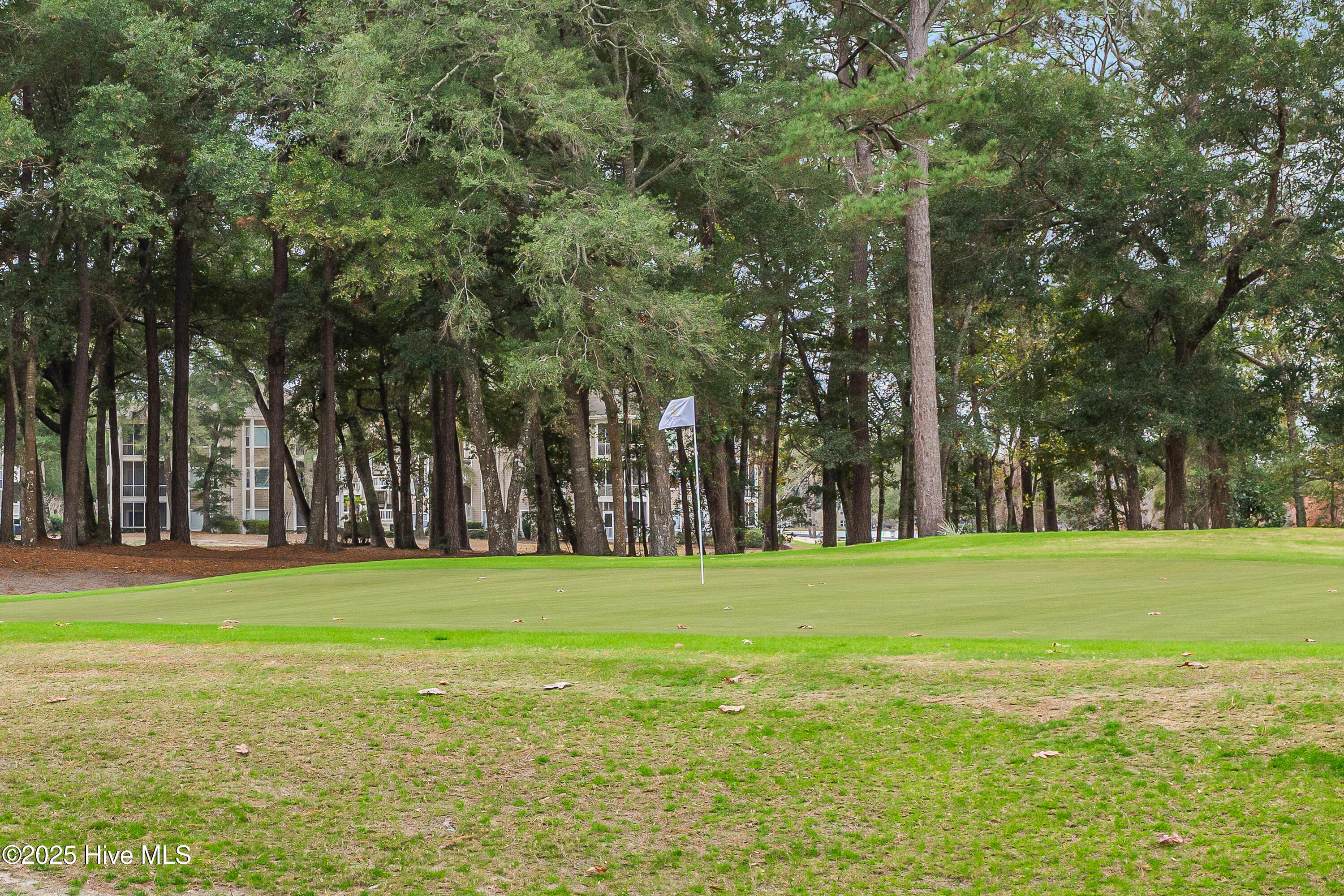 100545201 | Photo 38