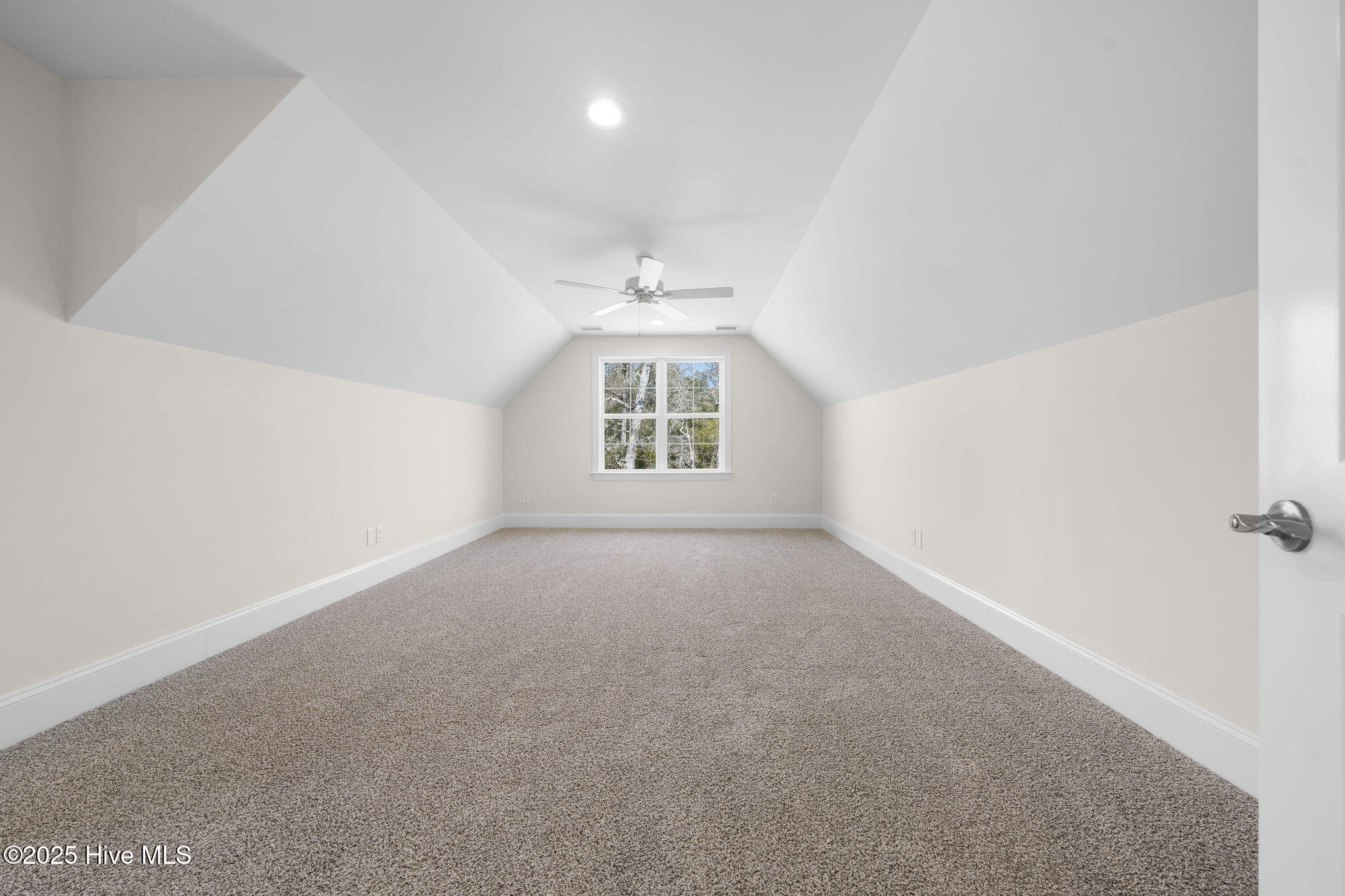 100488997 | Photo 48