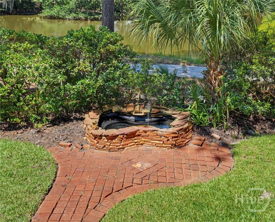 Pond in back yard