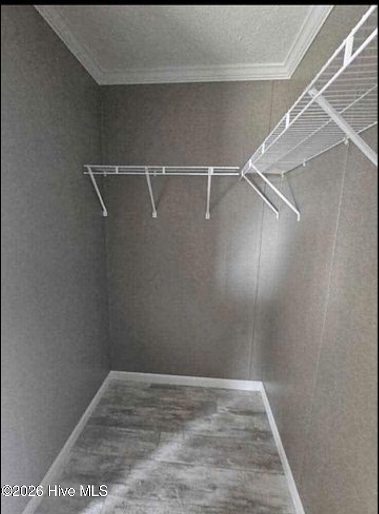 100568186 | Photo 14