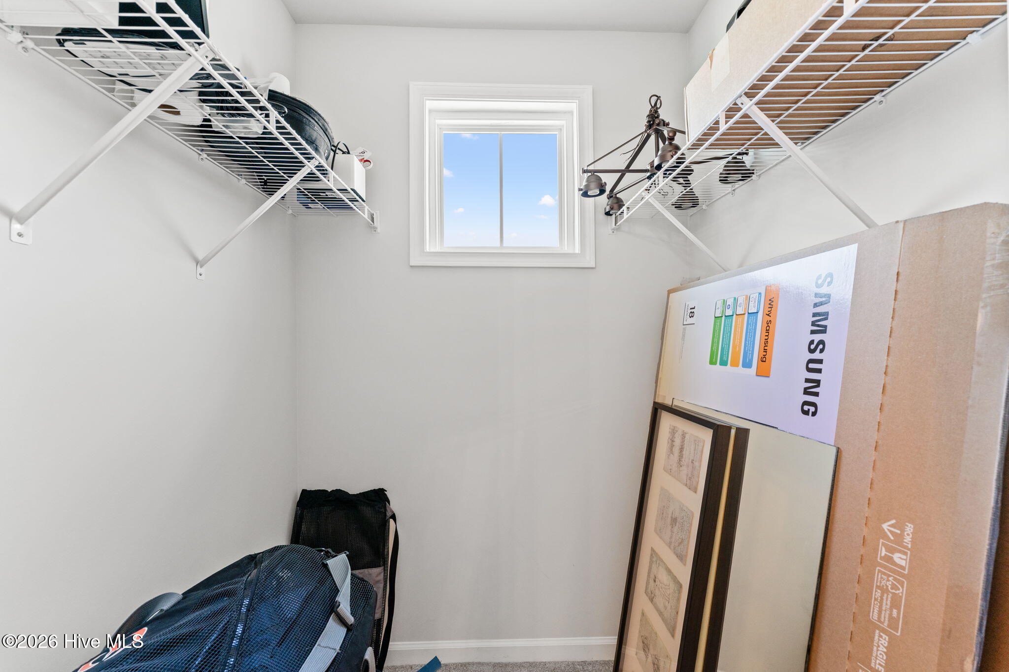 100566153 | Photo 29