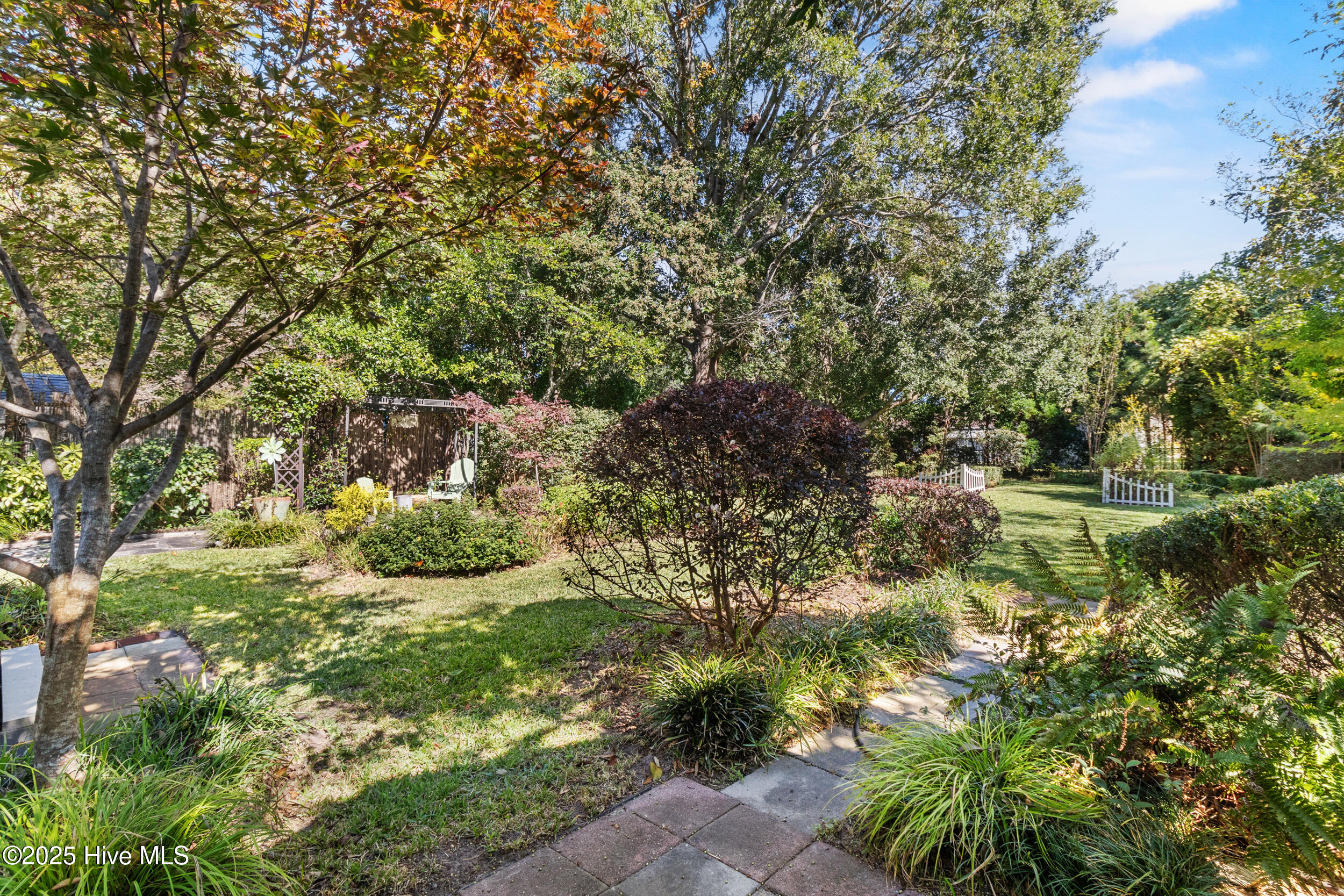 100538519 | Photo 24