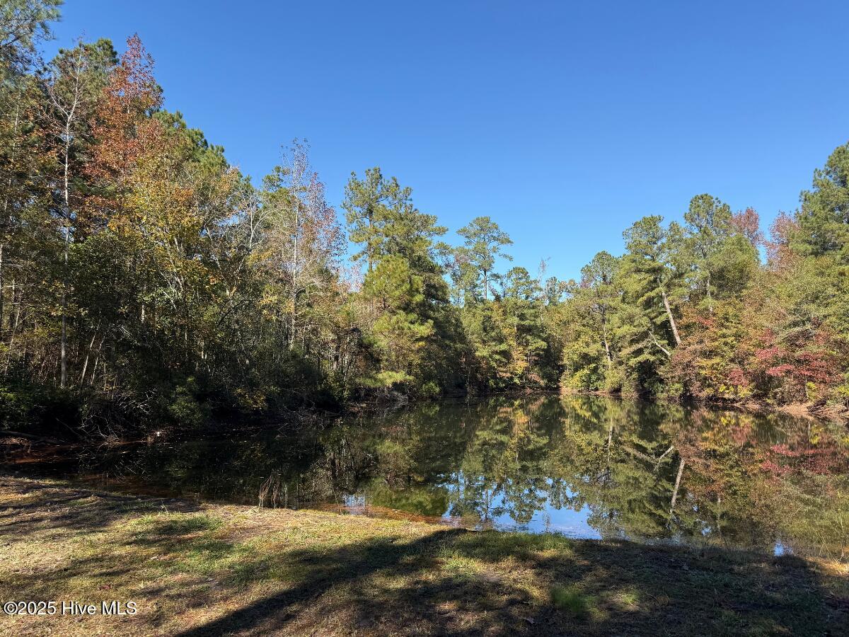 100540348 | Photo 35