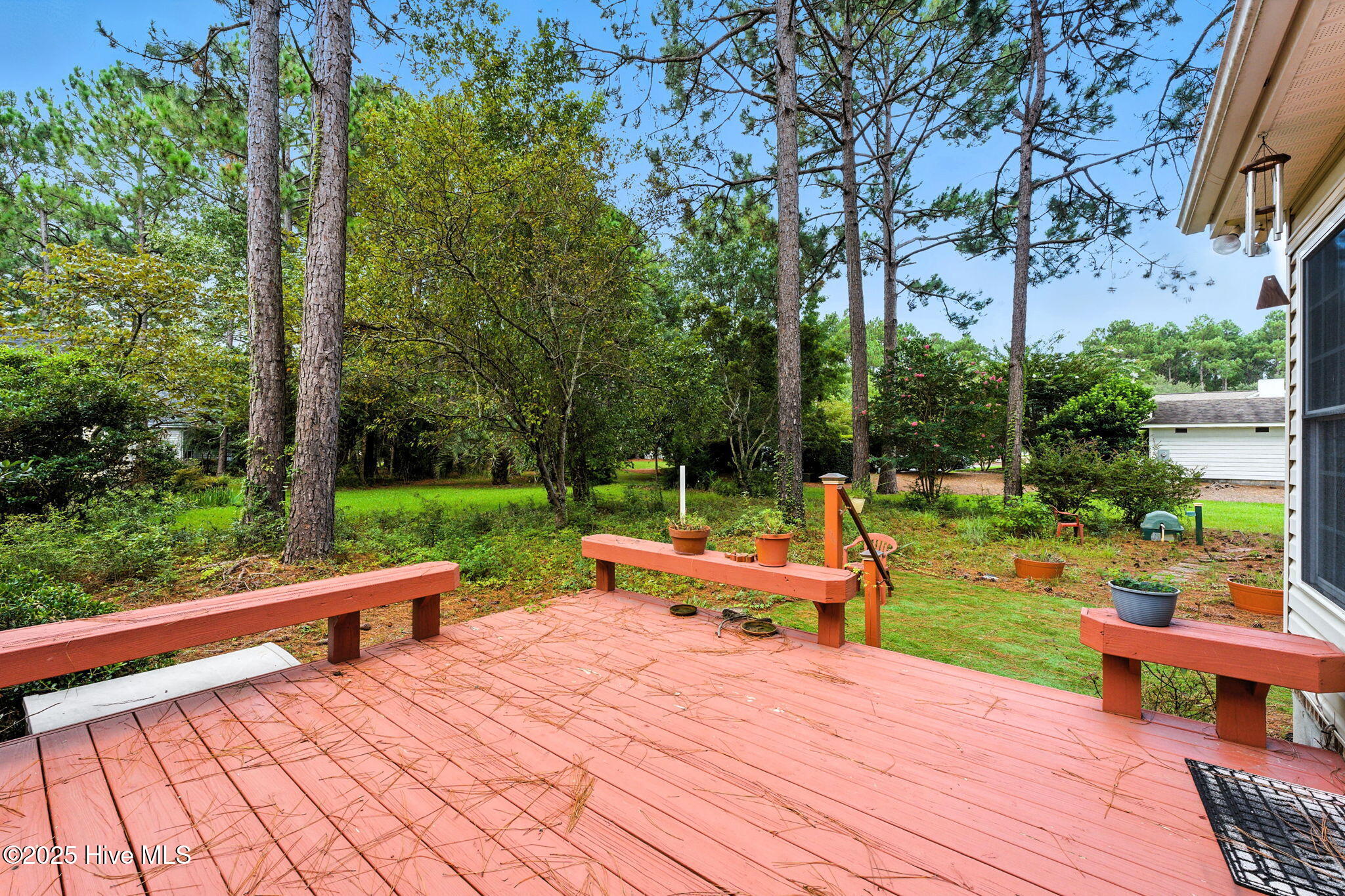 100523616 | Photo 37