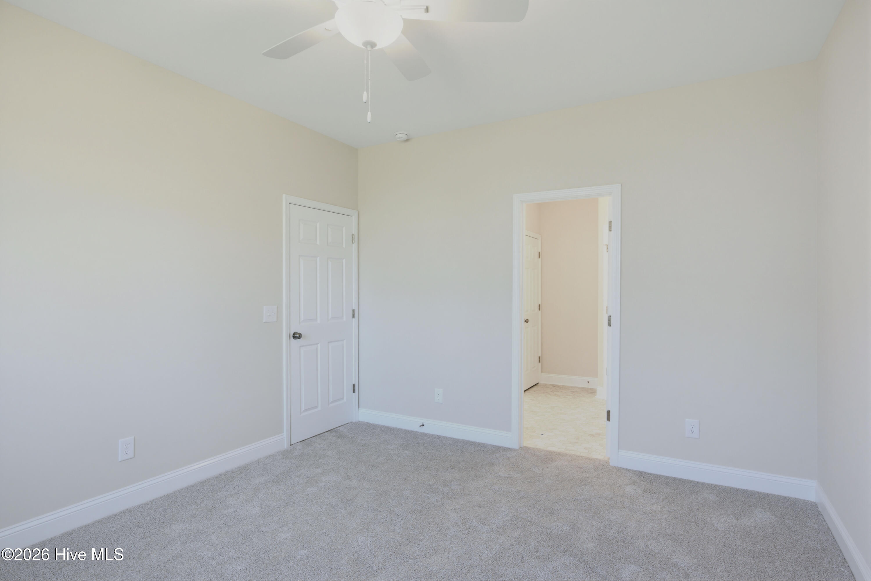 100567260 | Photo 15