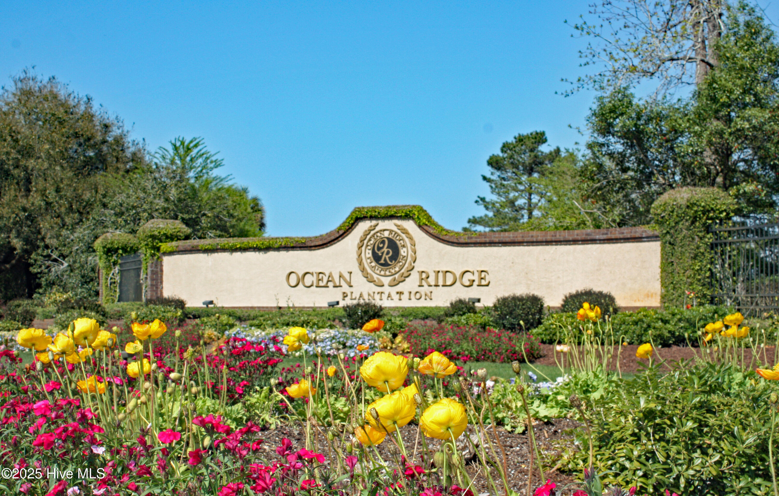 100533774 | Photo 12