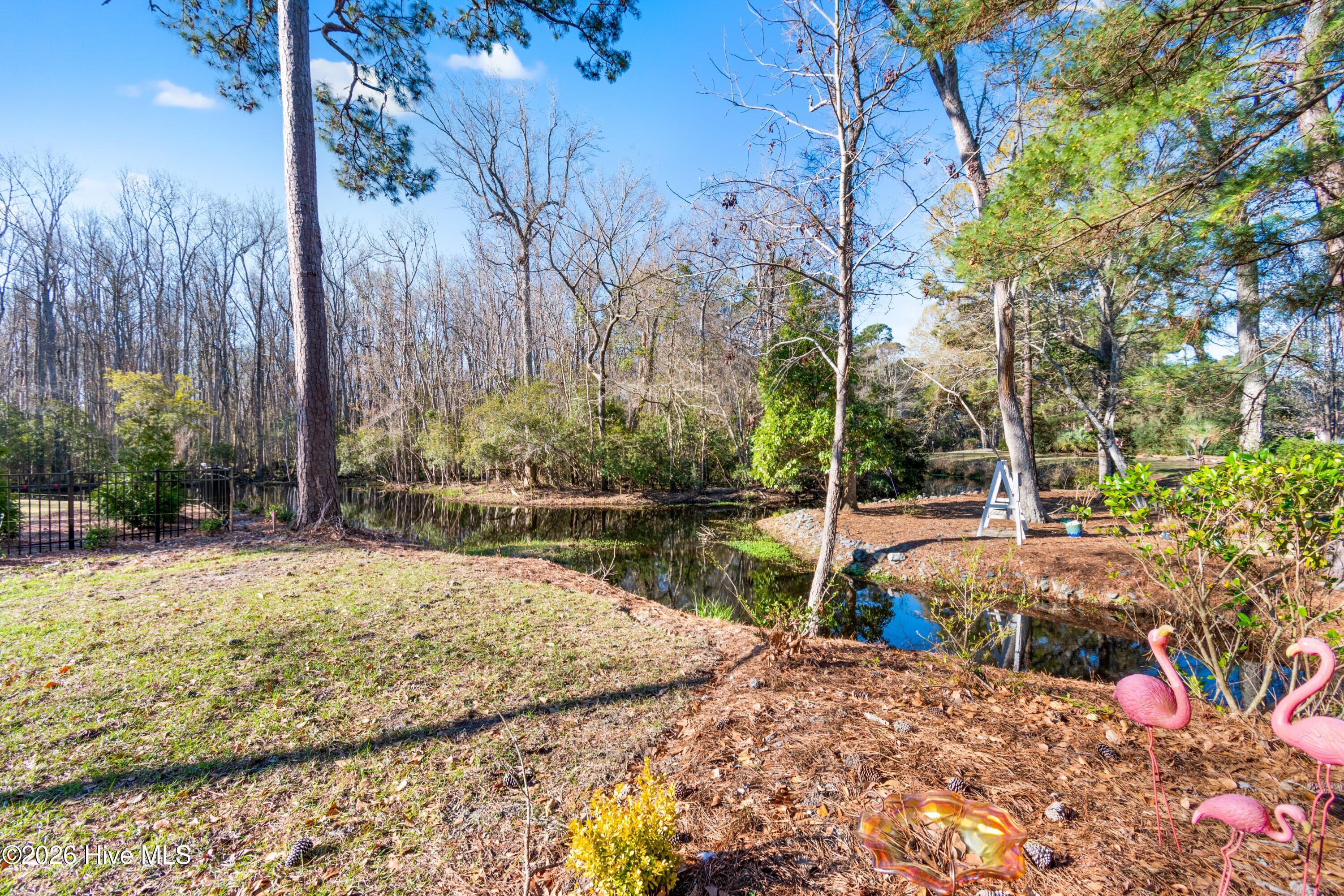 100561592 | Photo 48