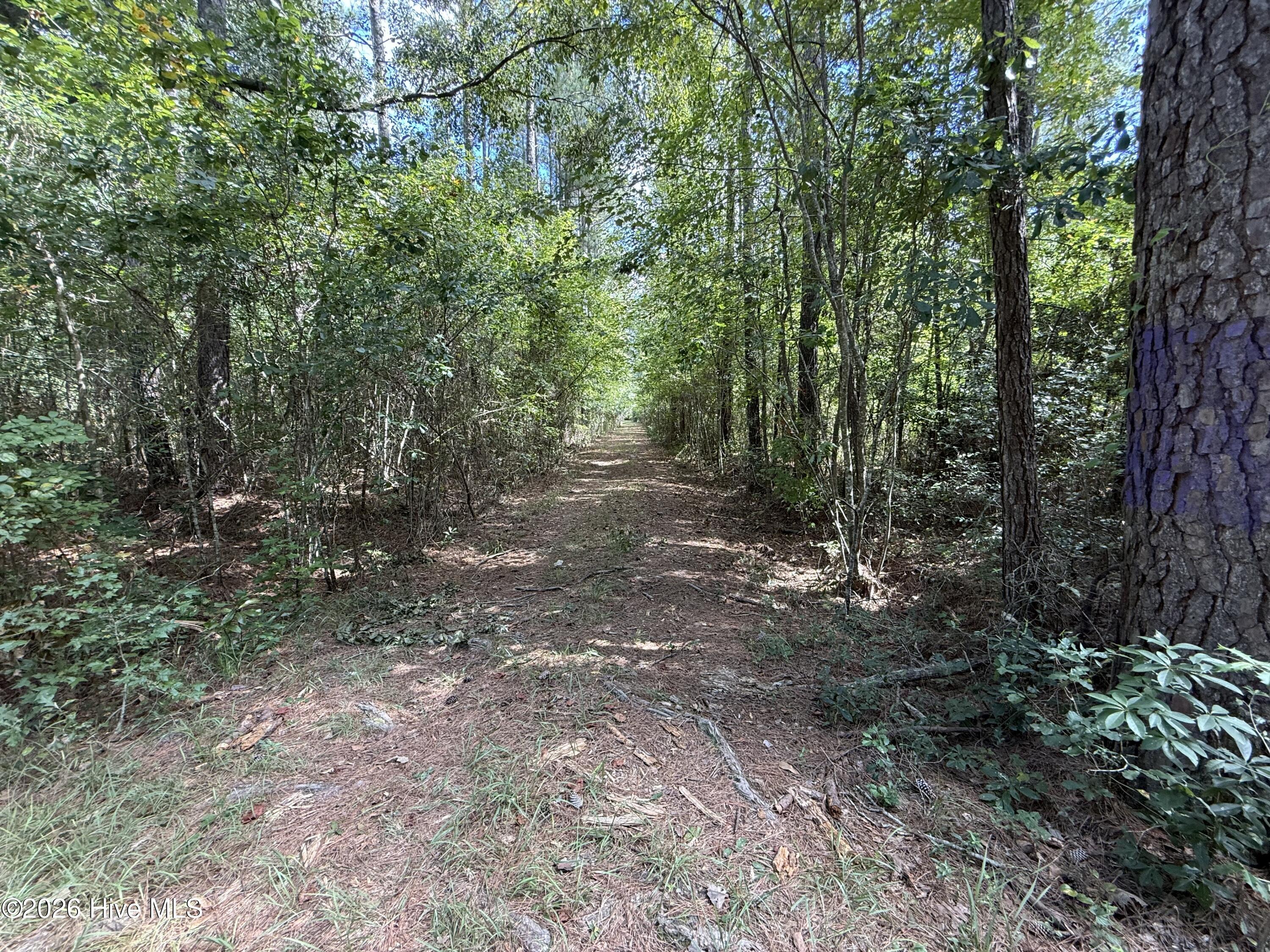 Tbd Point Caswell Road — listing photograph 3