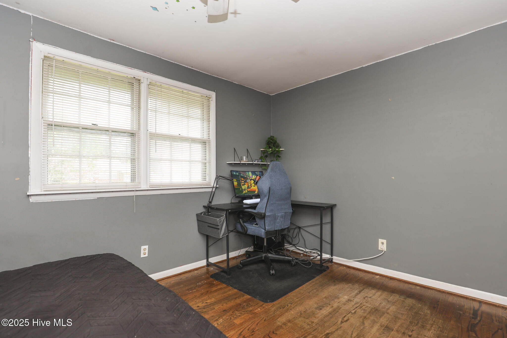 100524871 | Photo 22