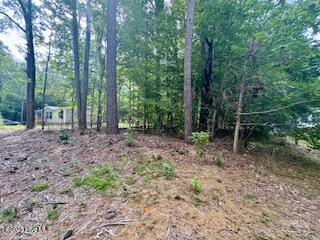 53 Teak, Hertford, North Carolina, 0 ,Residential land,For sale,Teak,100548465