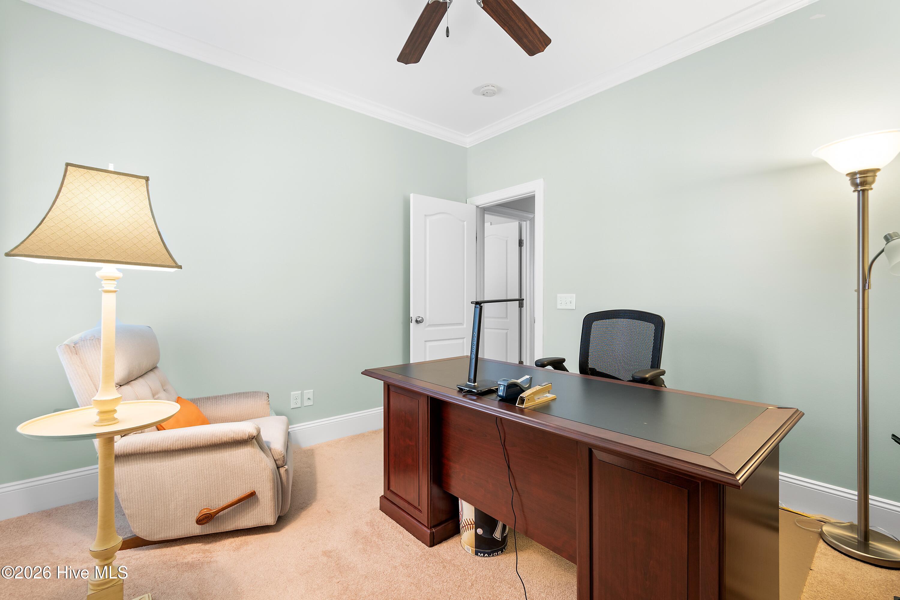 100554083 | Photo 34