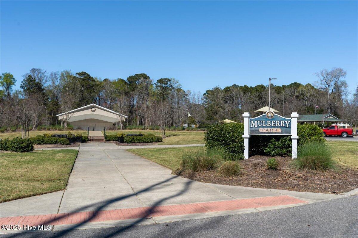 100538571 | Photo 34