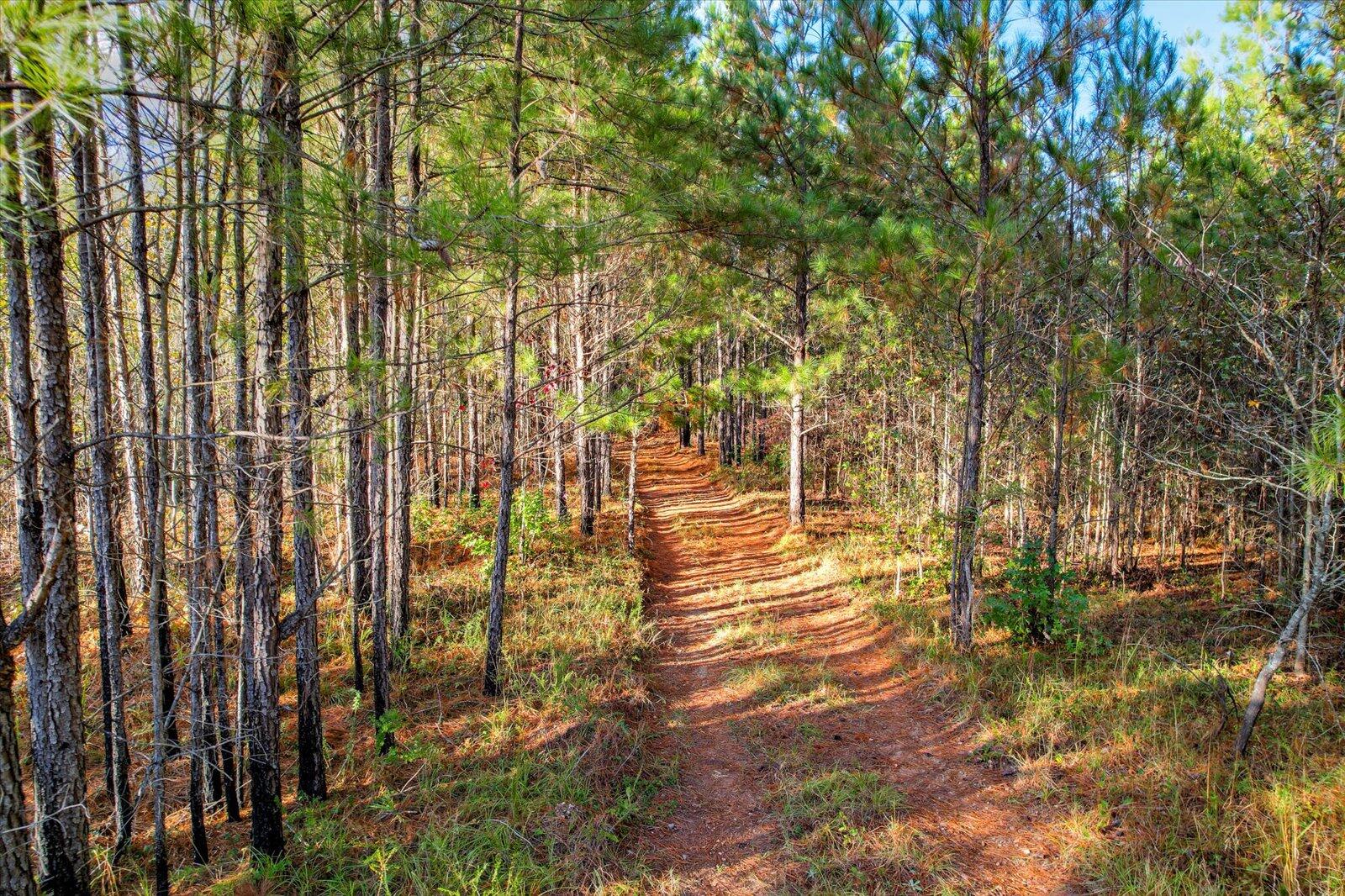 TBD2 SC-23, Edgefield, SC, 29824