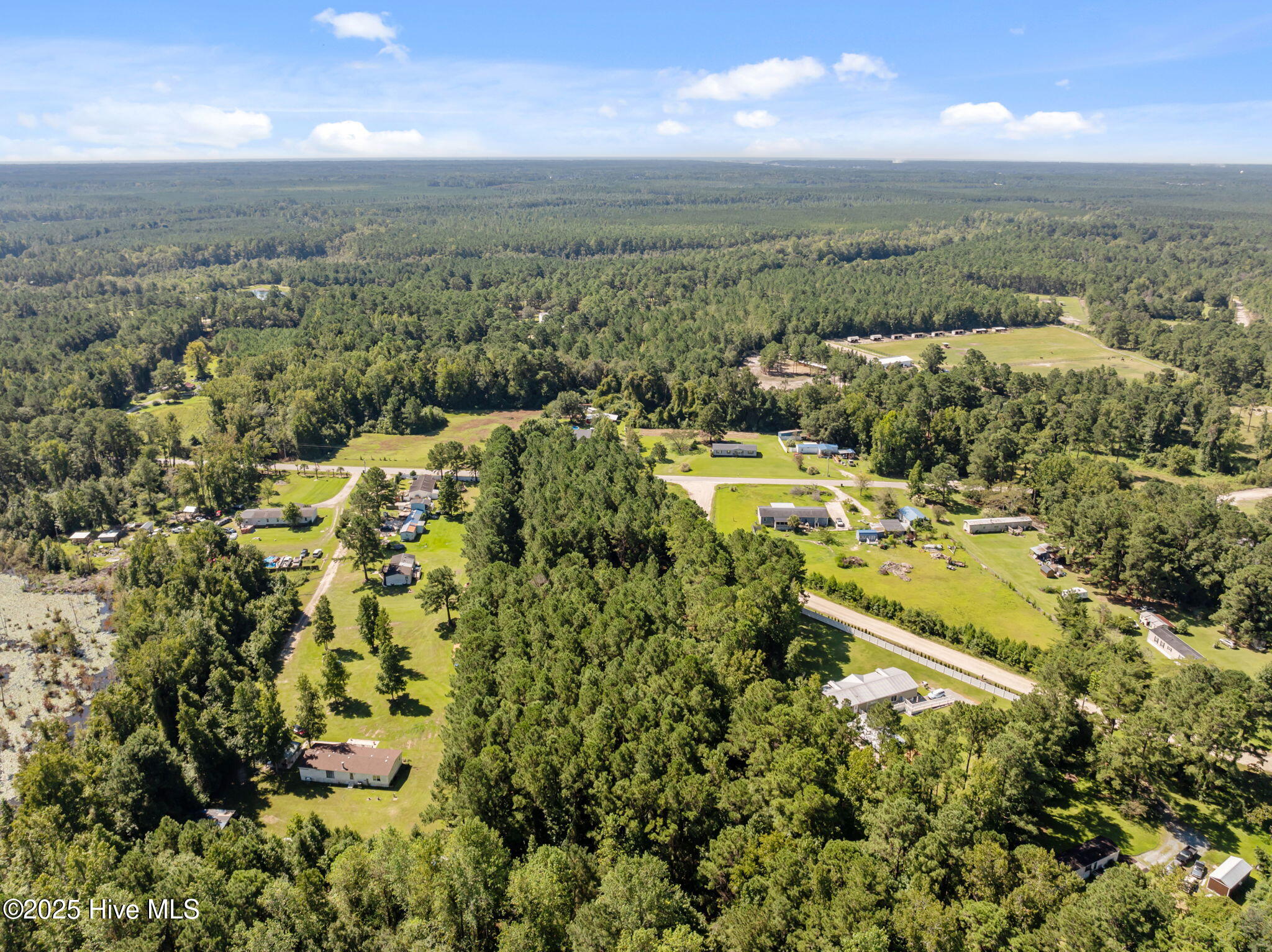 100527806 | Photo 10