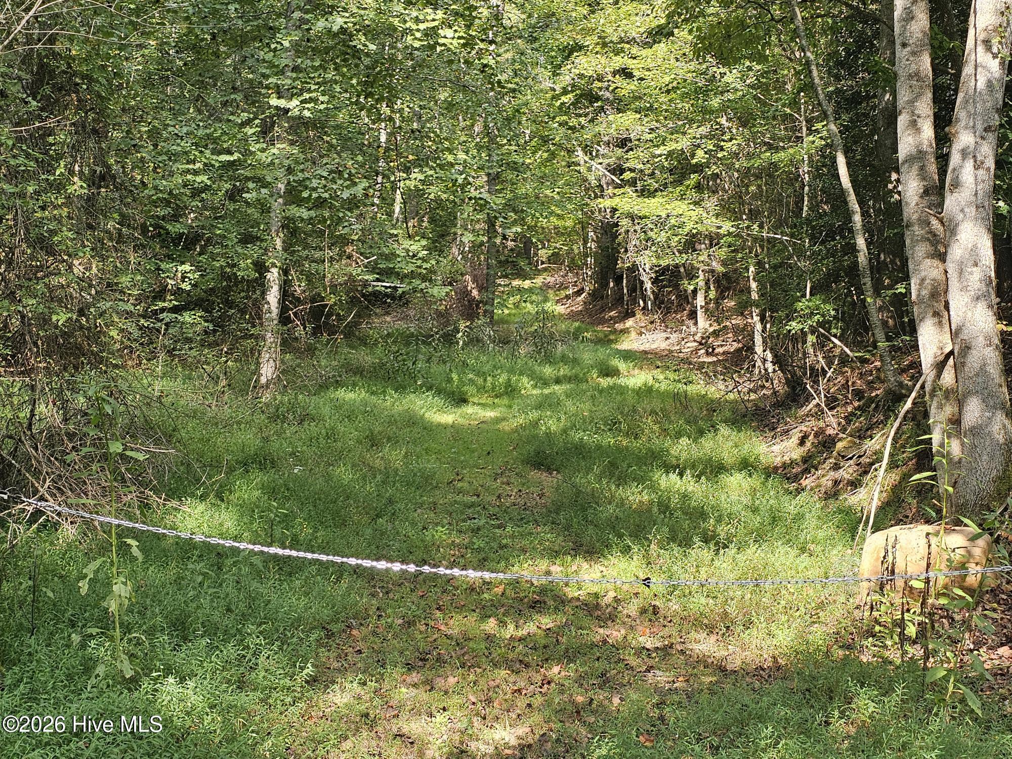100605034 | Photo 2