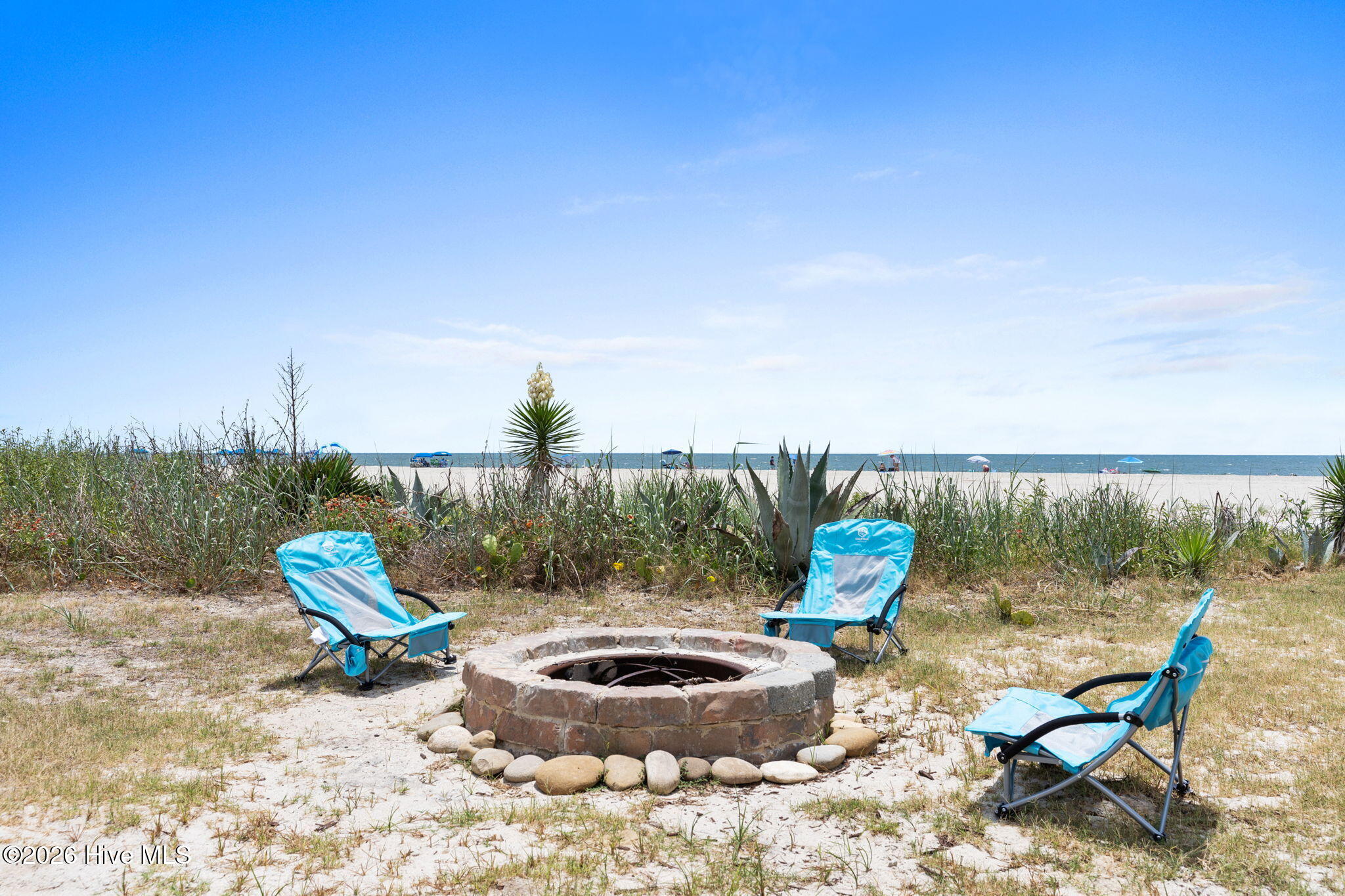 100558118 | Photo 39