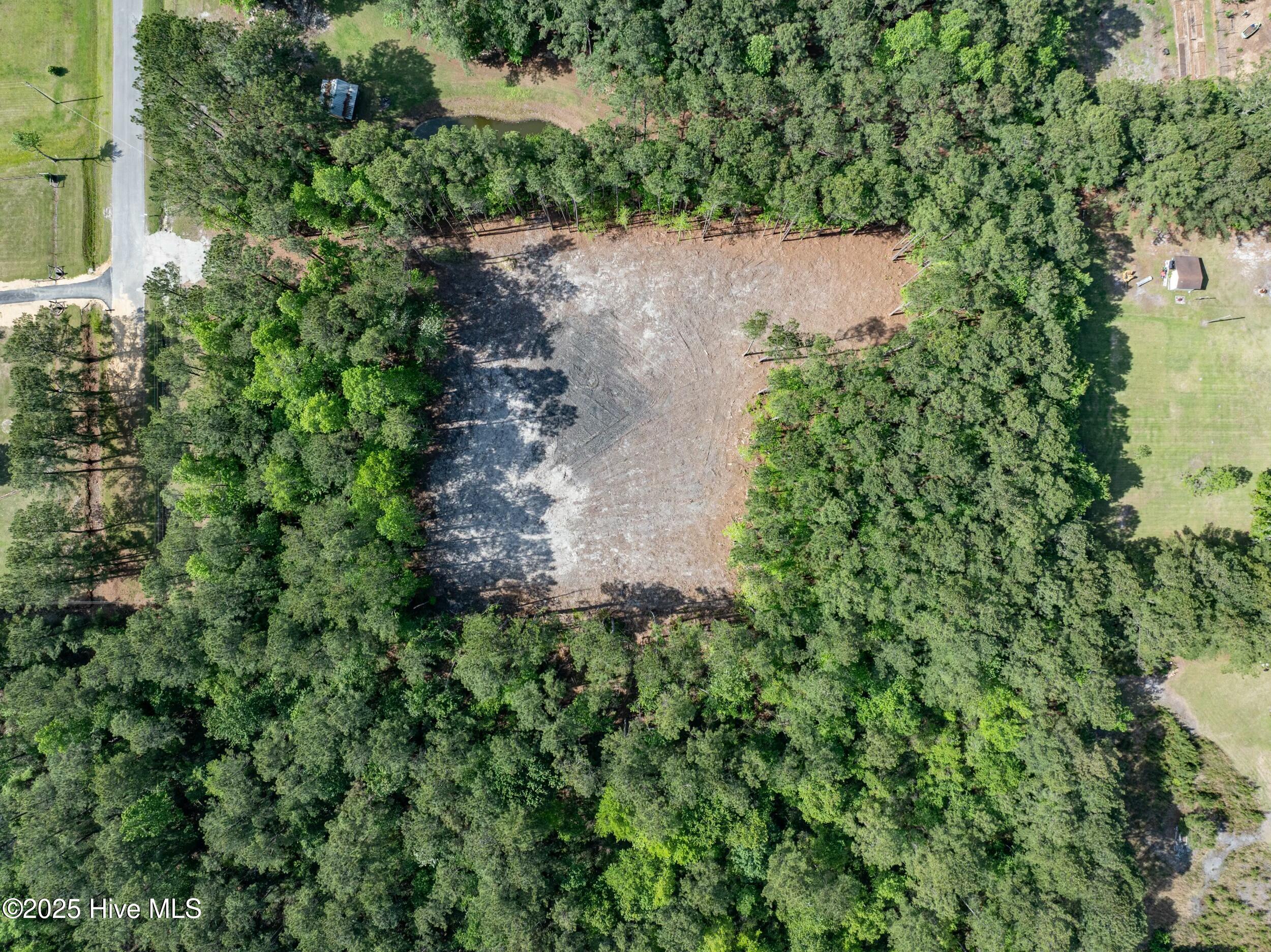 100503919 | Photo 18