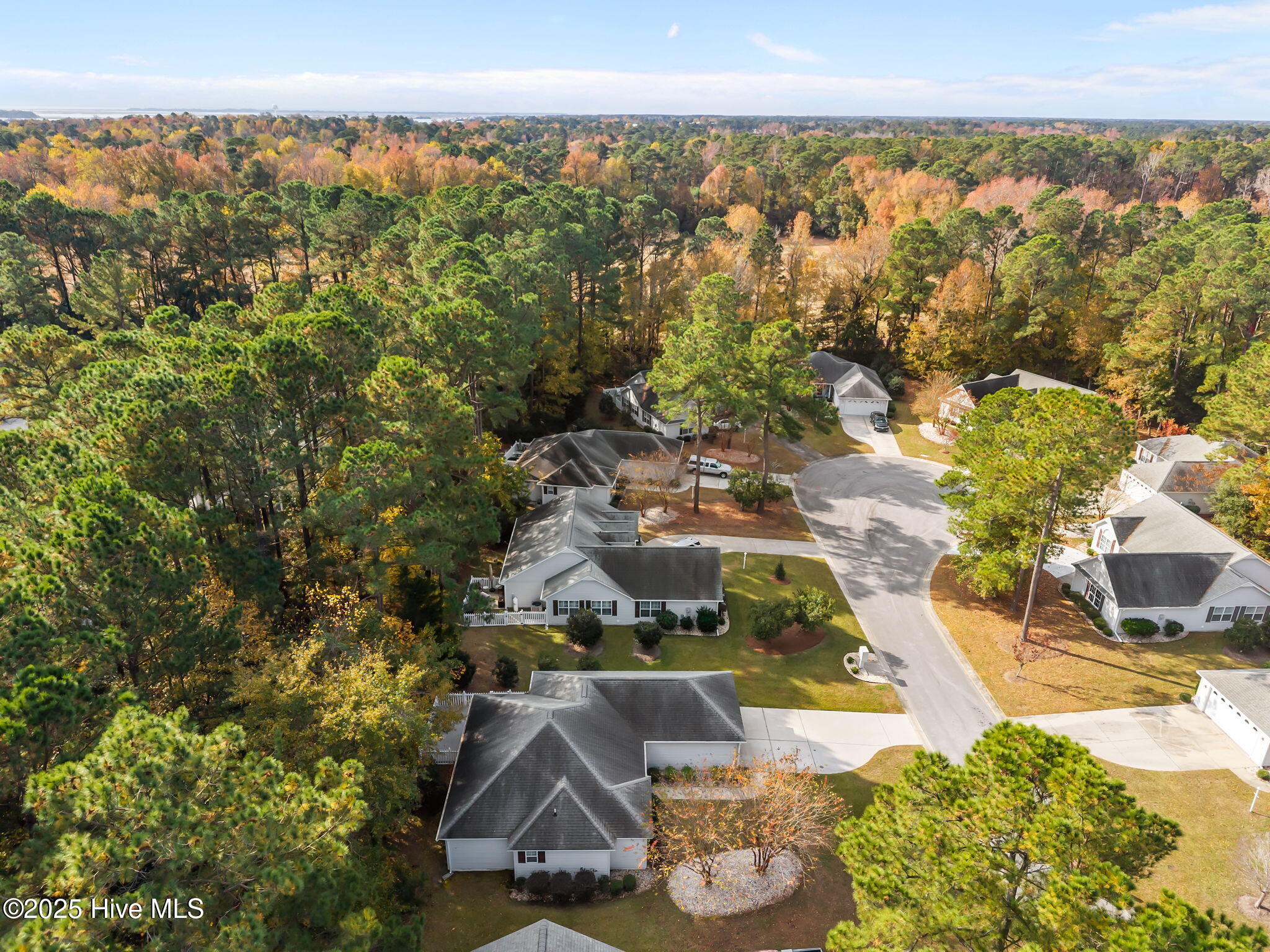 100542918 | Photo 44