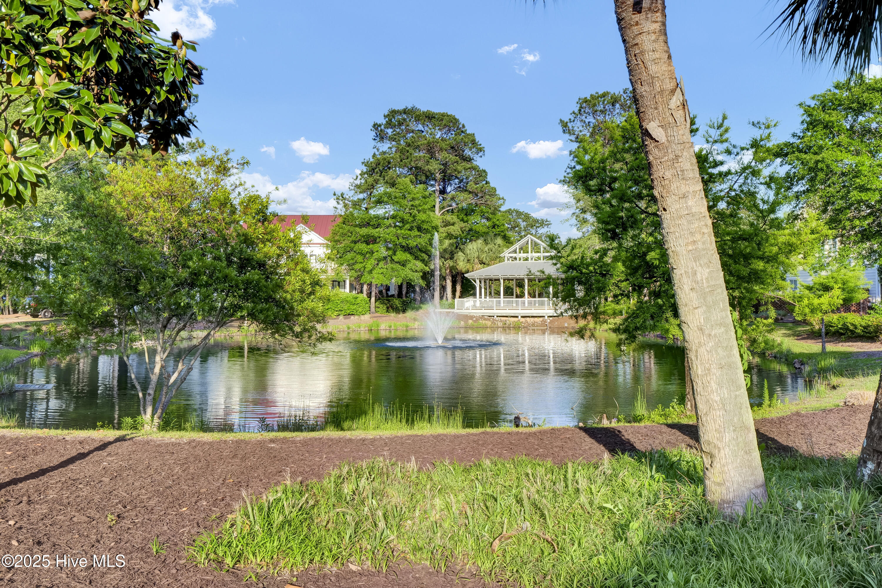 100504953 | Photo 46