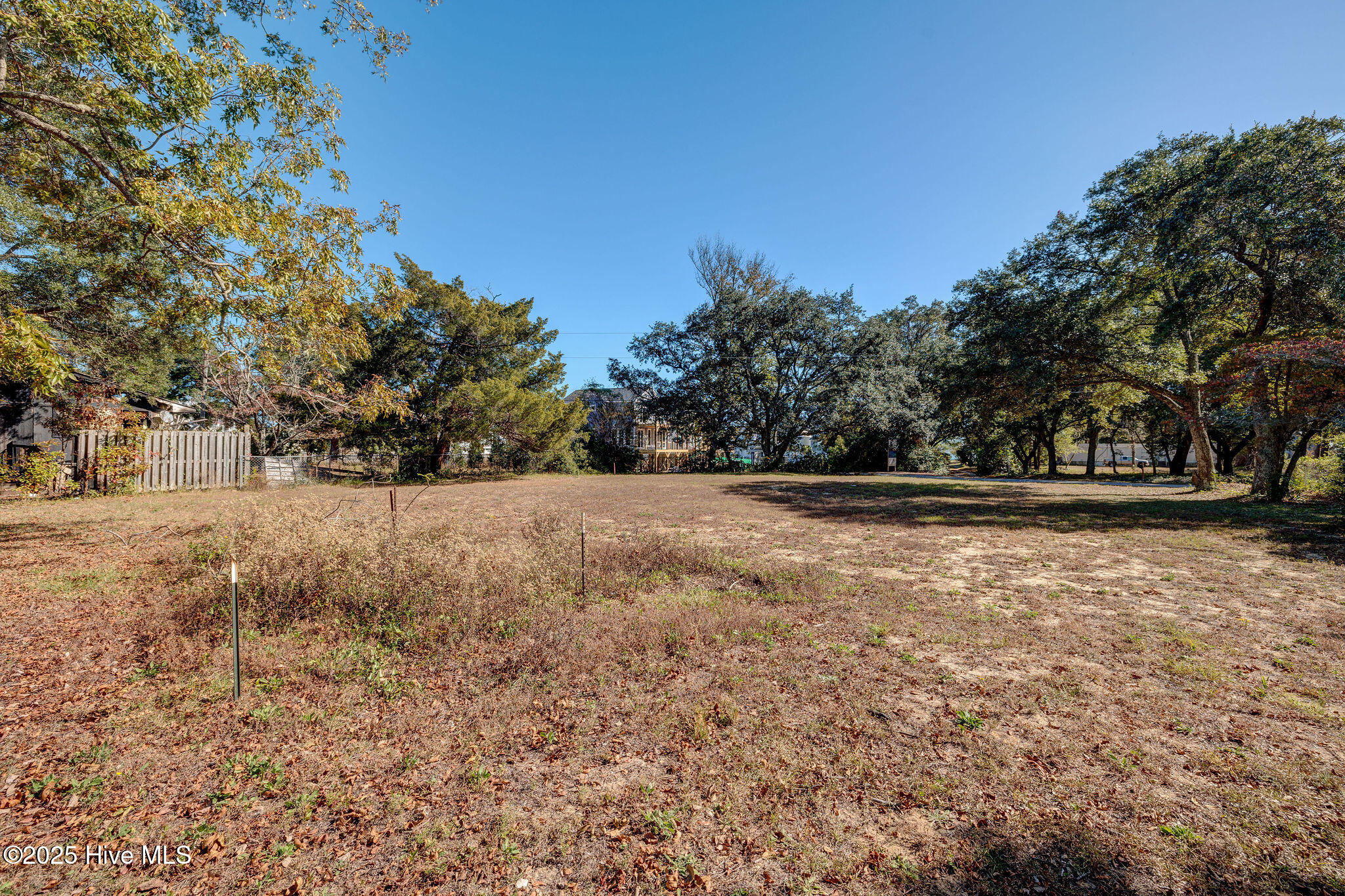 100540434 | Photo 12