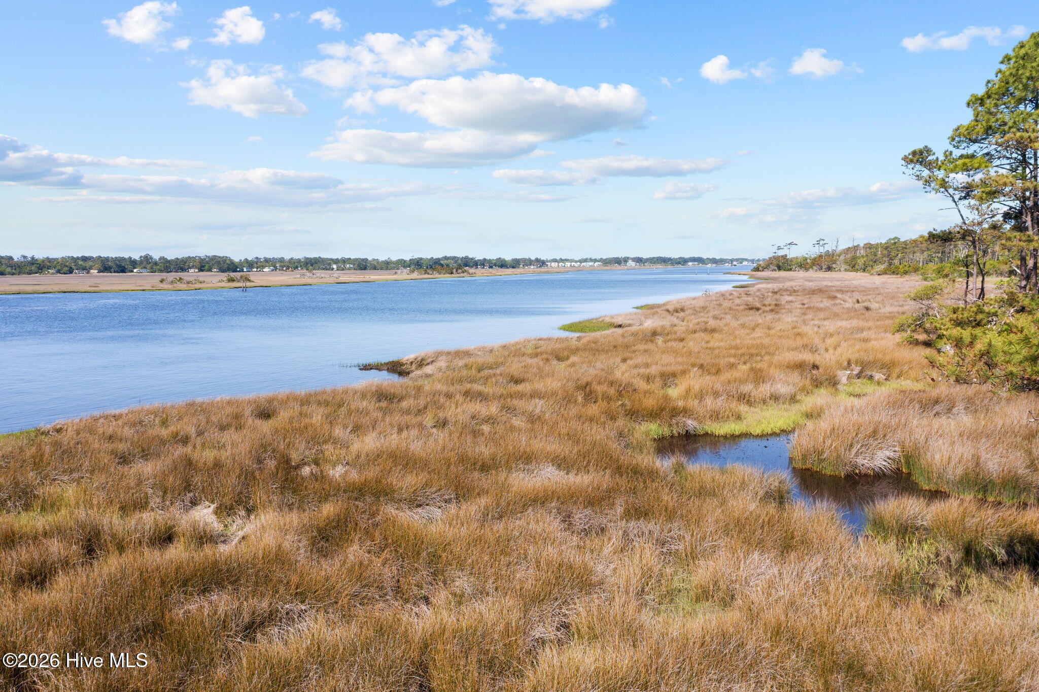 100558895 | Photo 95