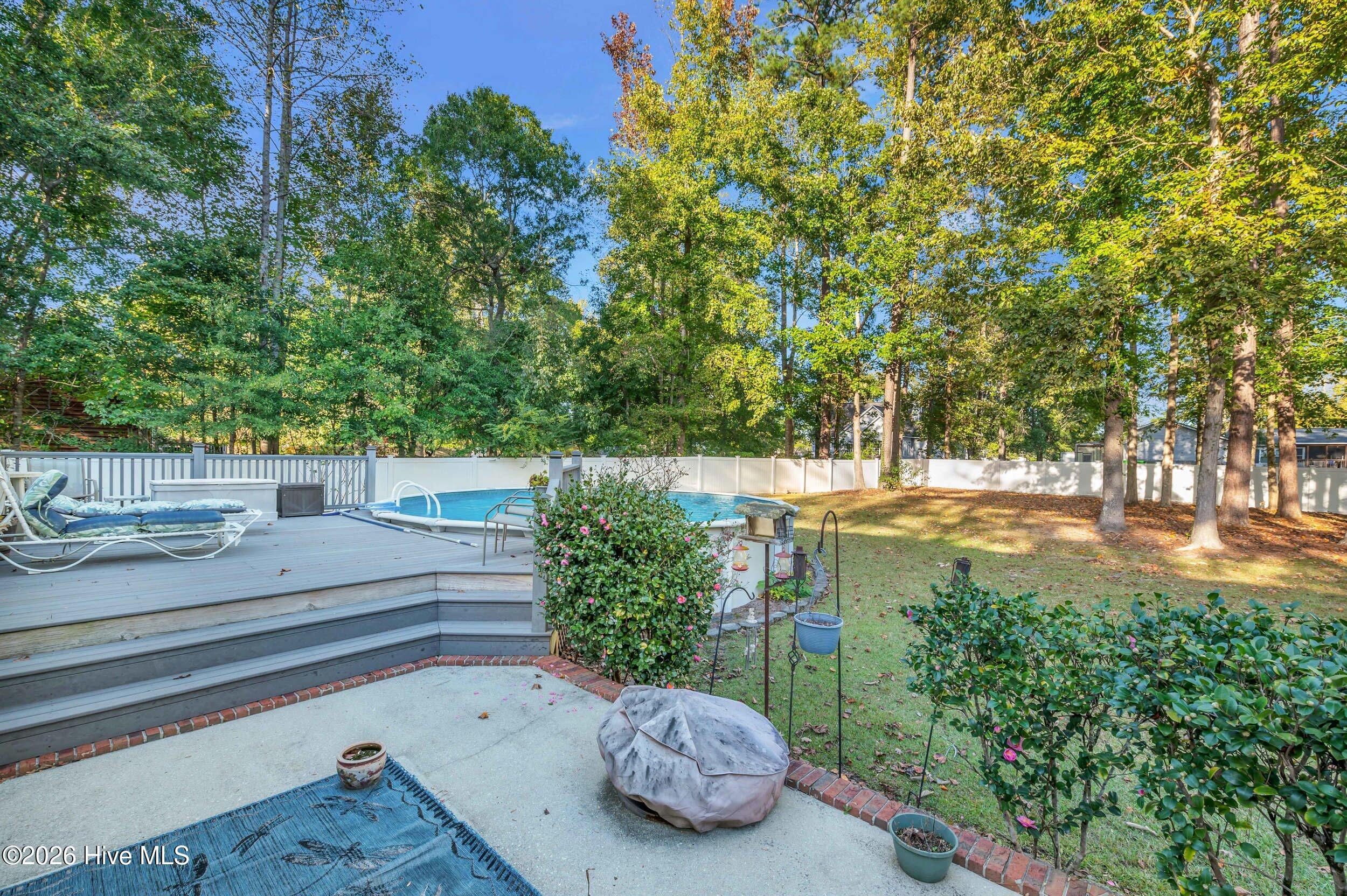 100562256 | Photo 33