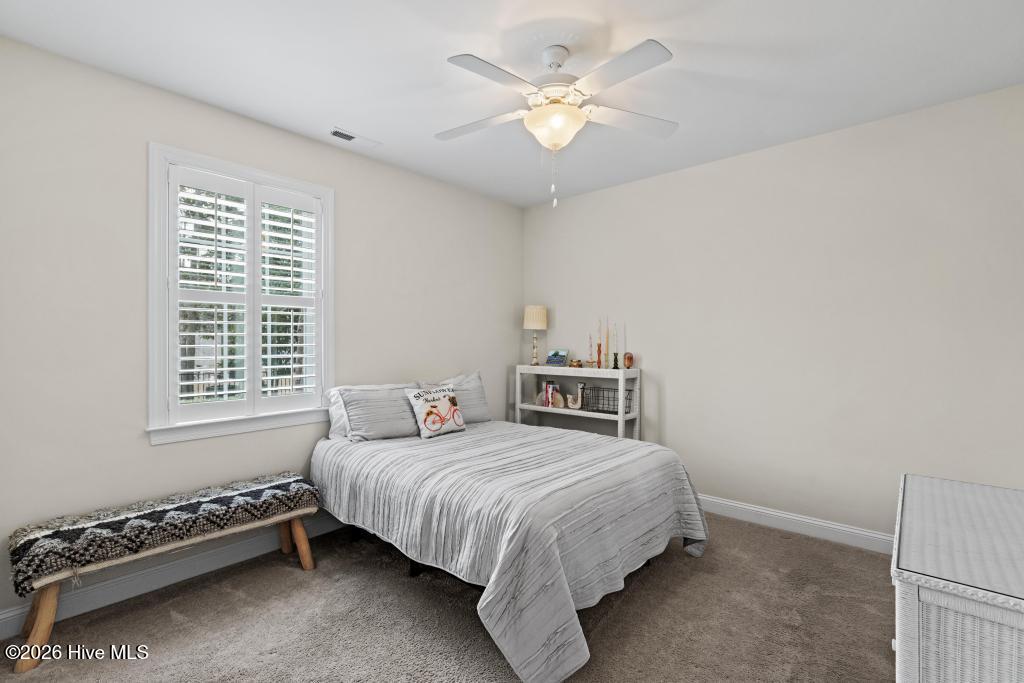 100558511 | Photo 23