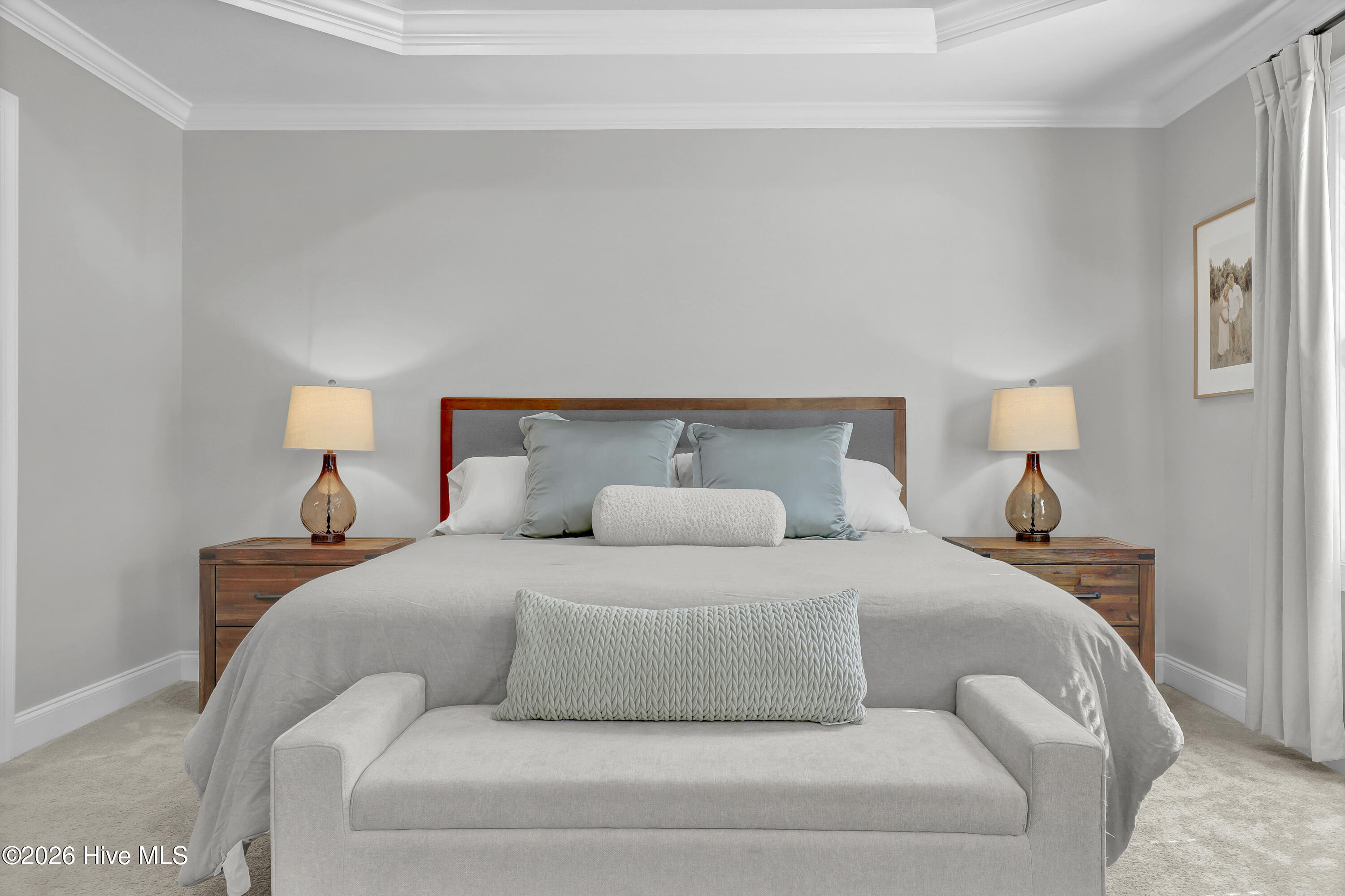 100562541 | Photo 18