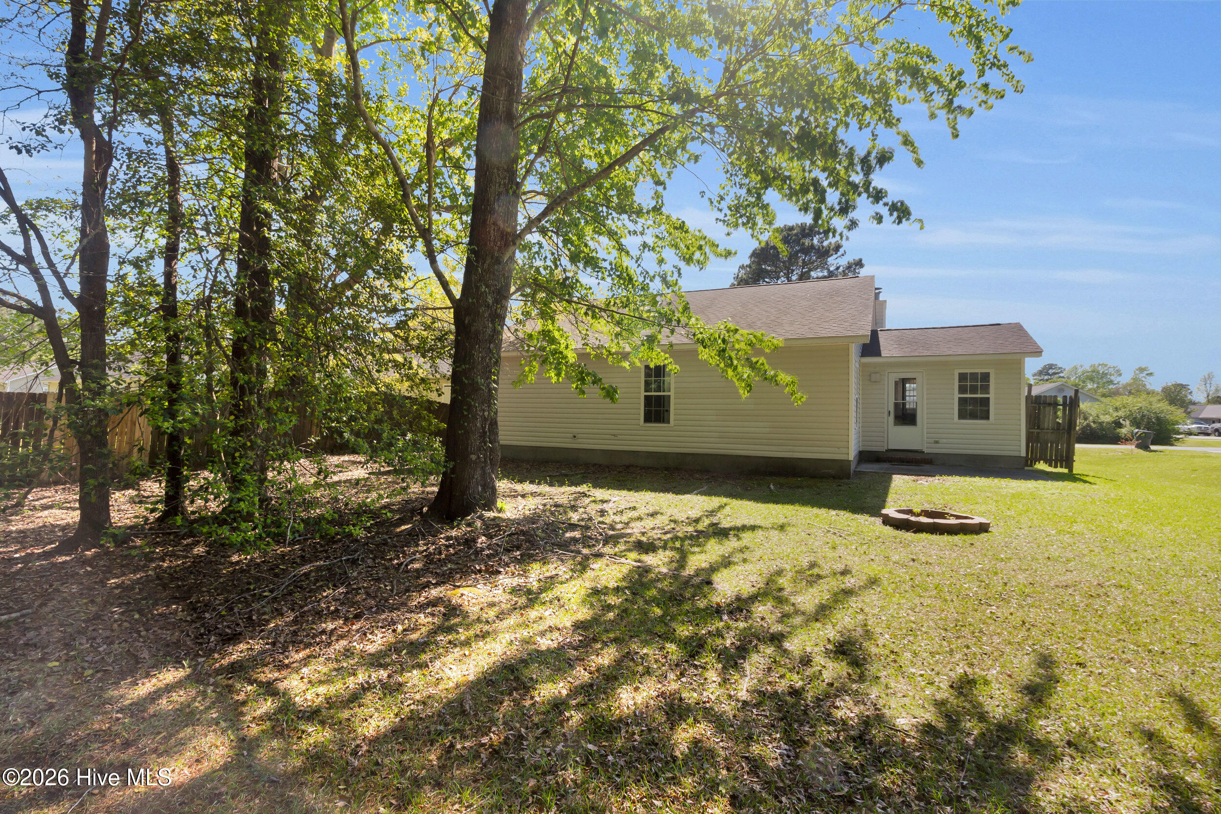 100566556 | Photo 23