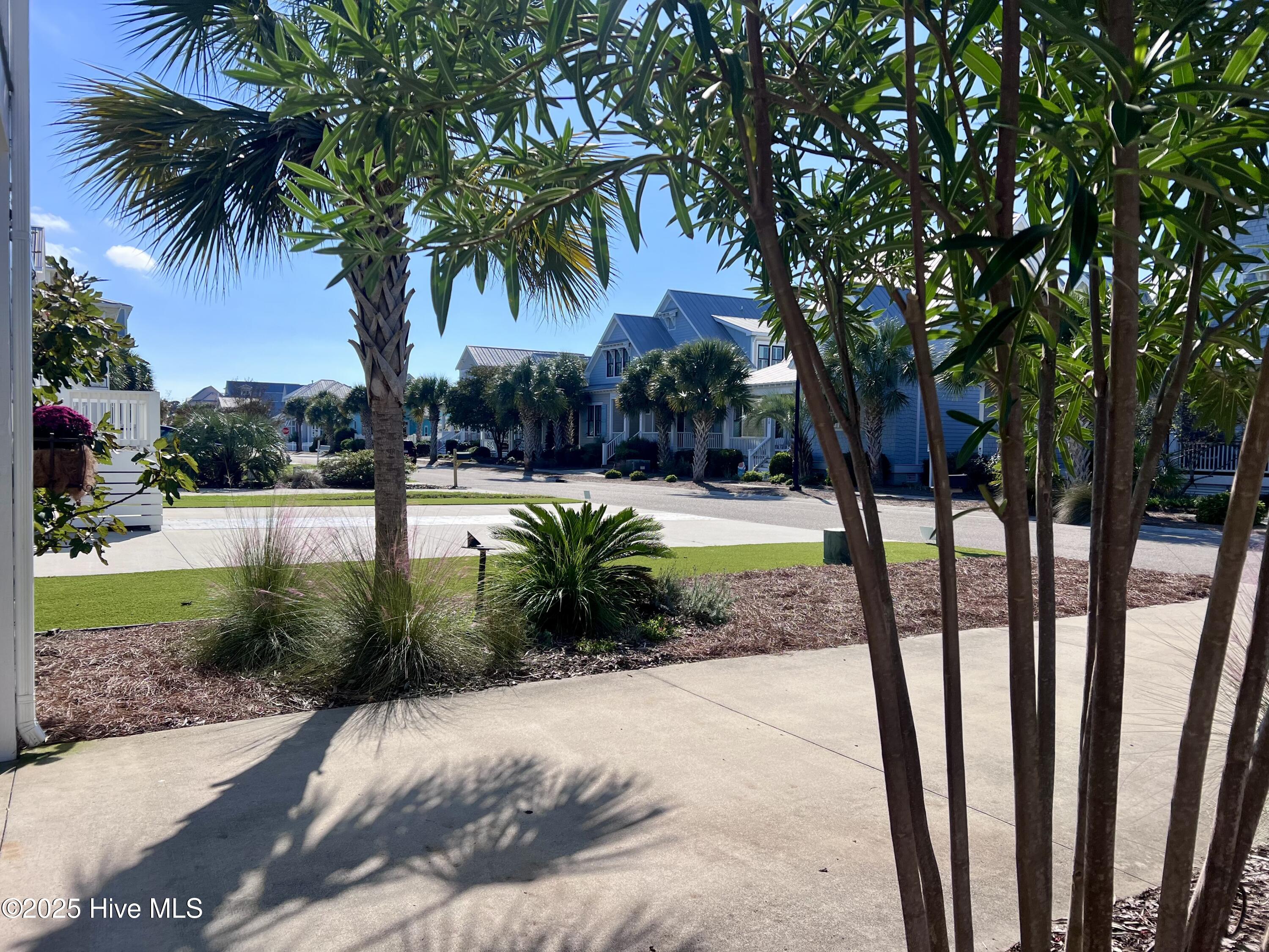 100536378 | Photo 56