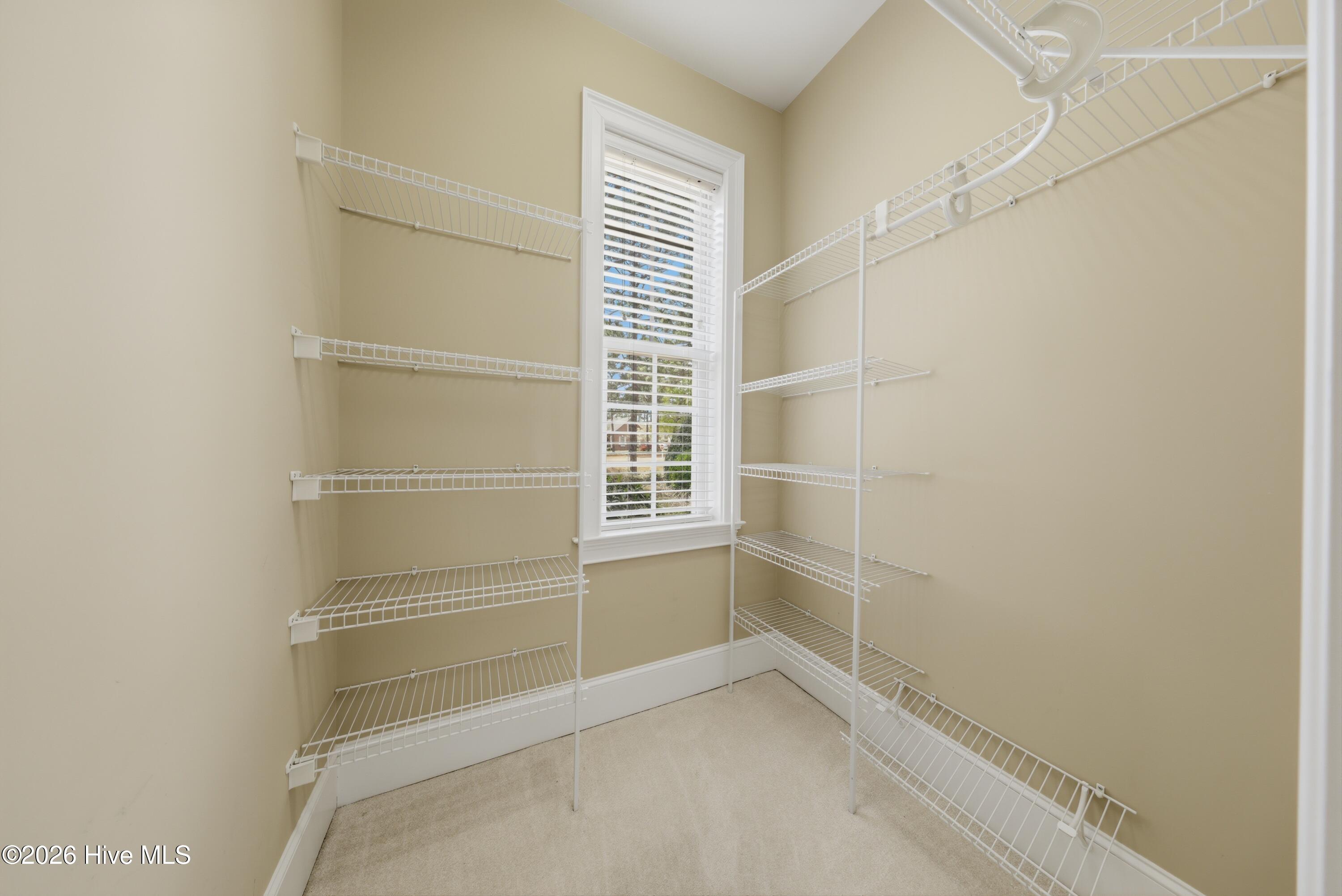 100564679 | Photo 53