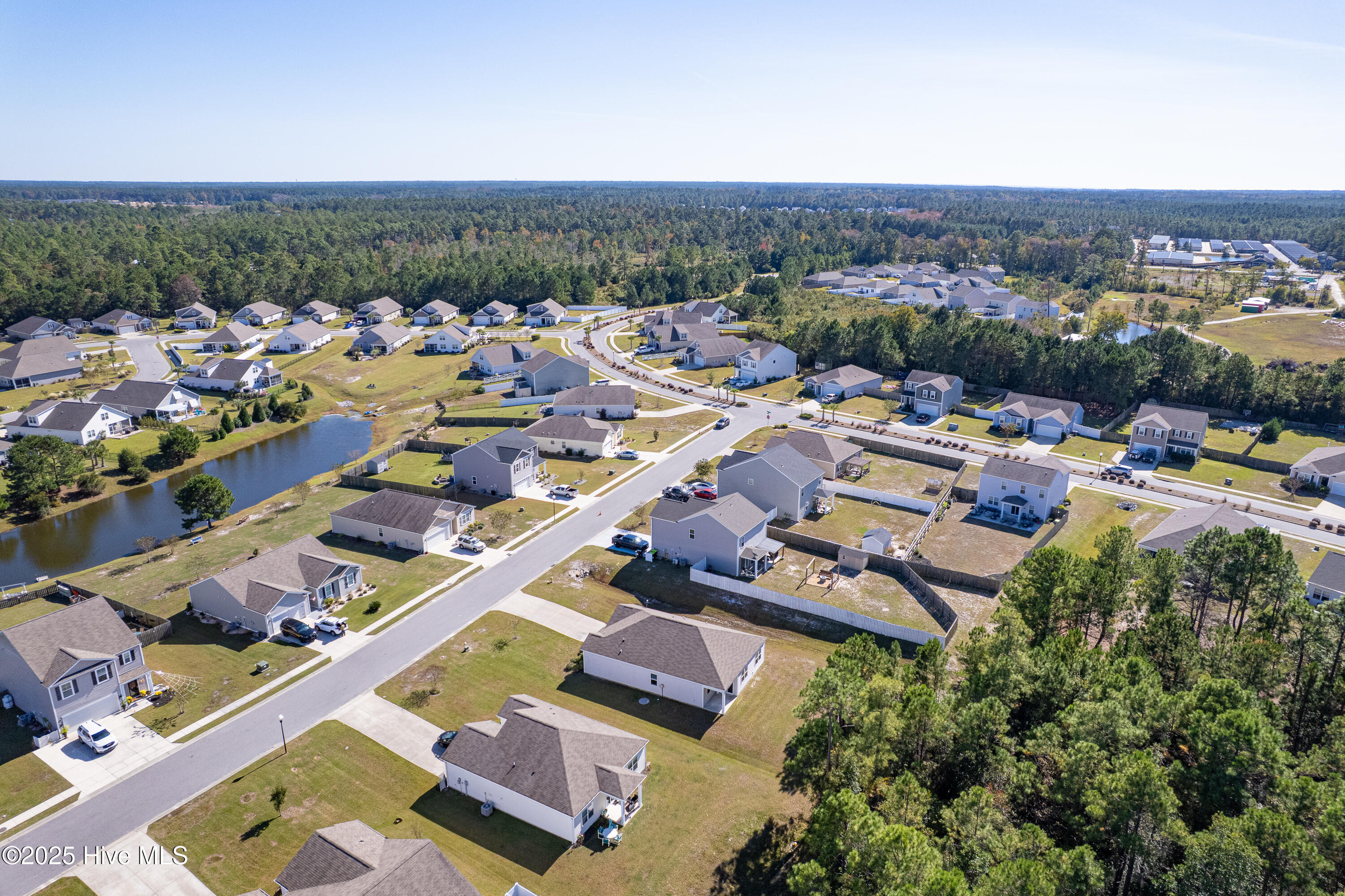 100538359 | Photo 32