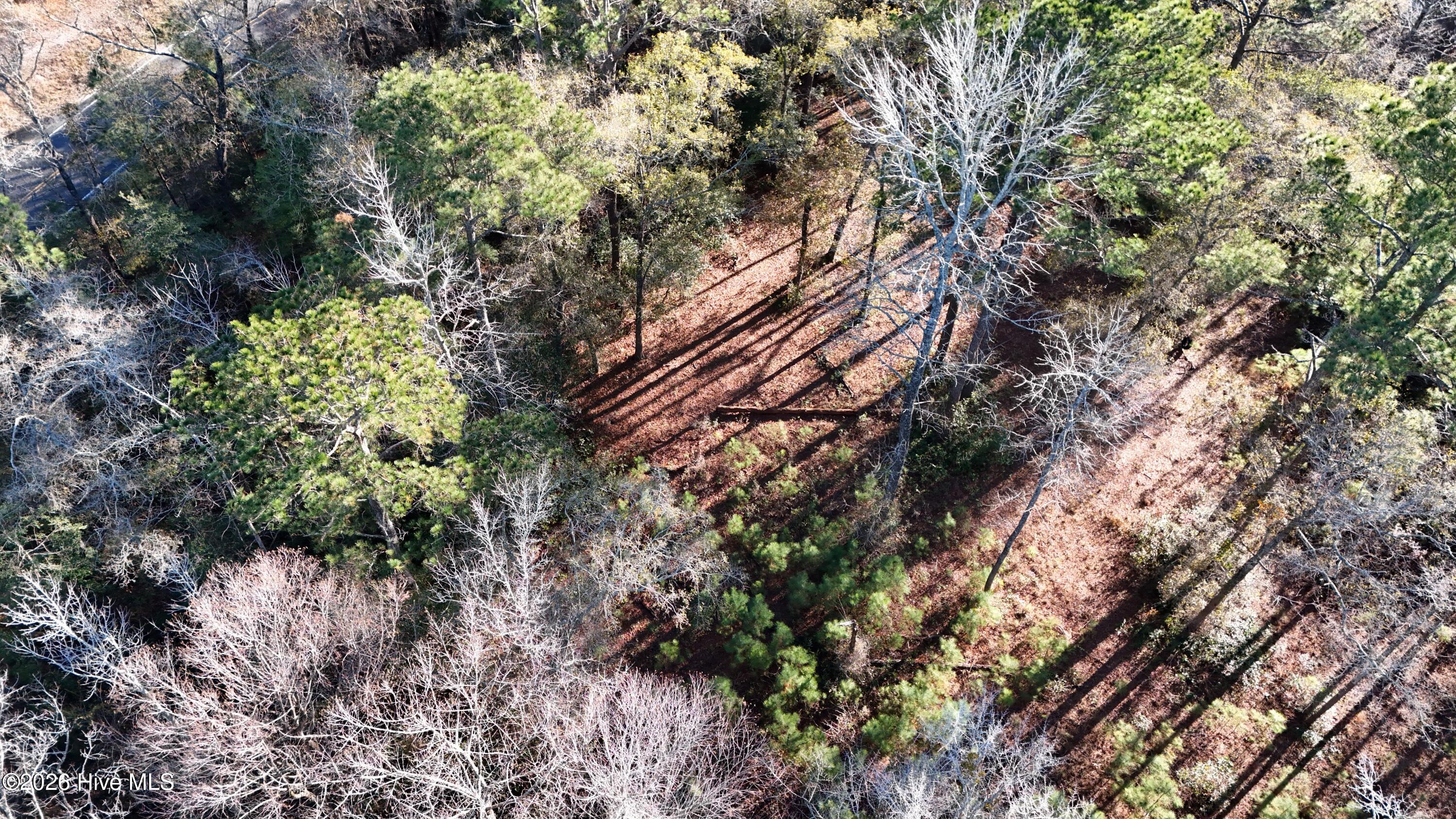 100556794 | Photo 26