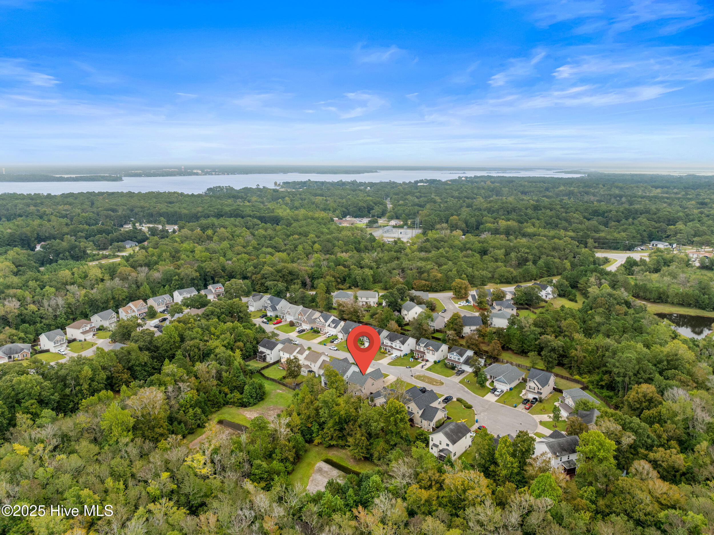 100533825 | Photo 49