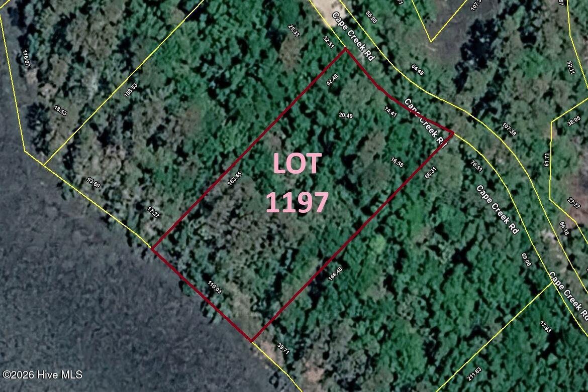 100566616 | Photo 11