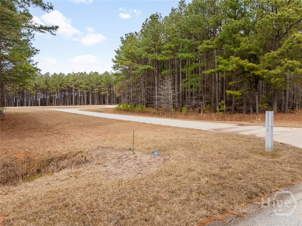 4th image of 0 Magnolia Ct, Tignall, GA 30668 | MLS# CL361180