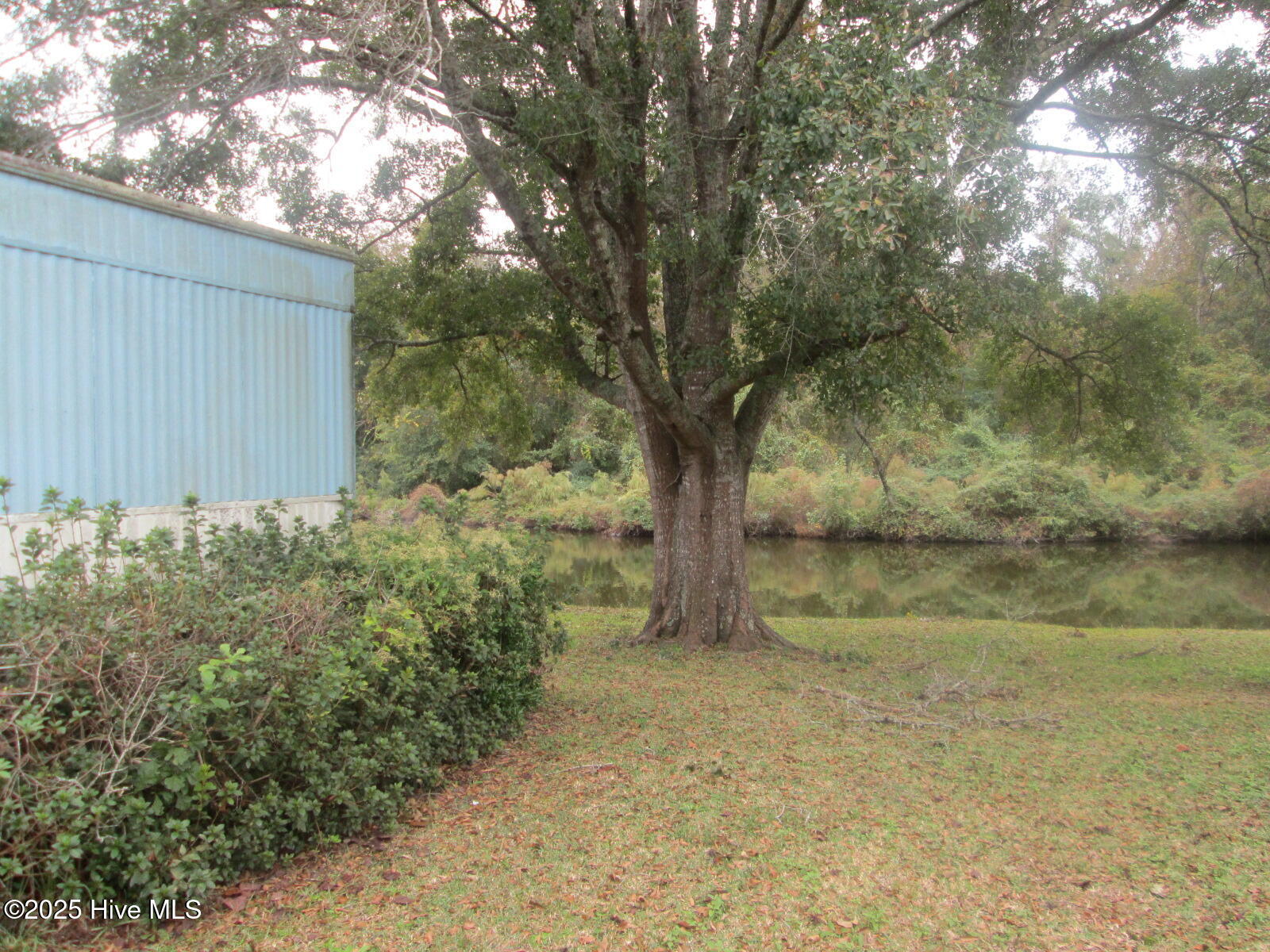 100538700 | Photo 14