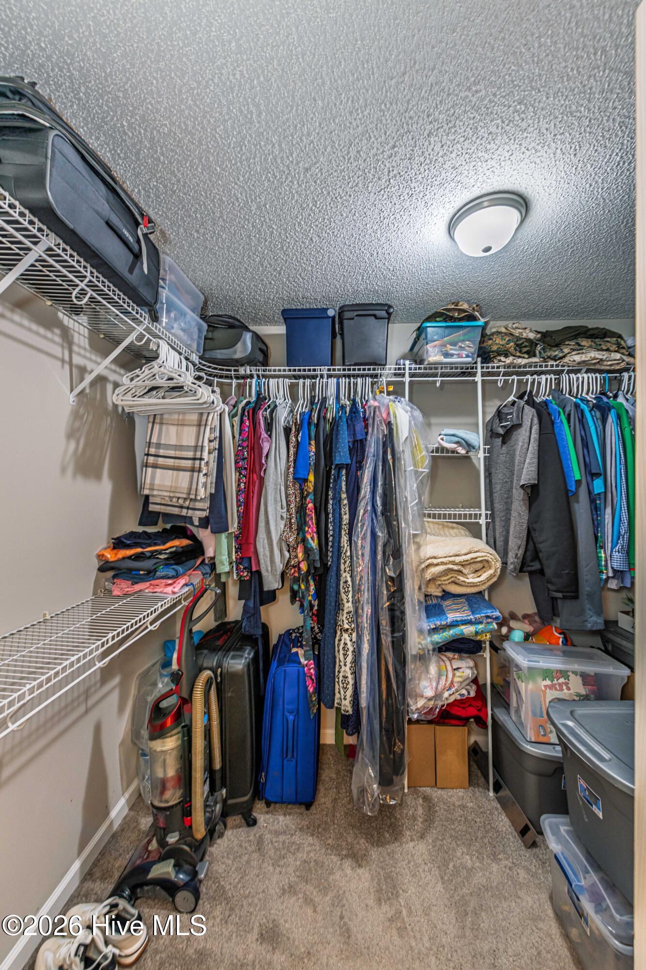 100565701 | Photo 30