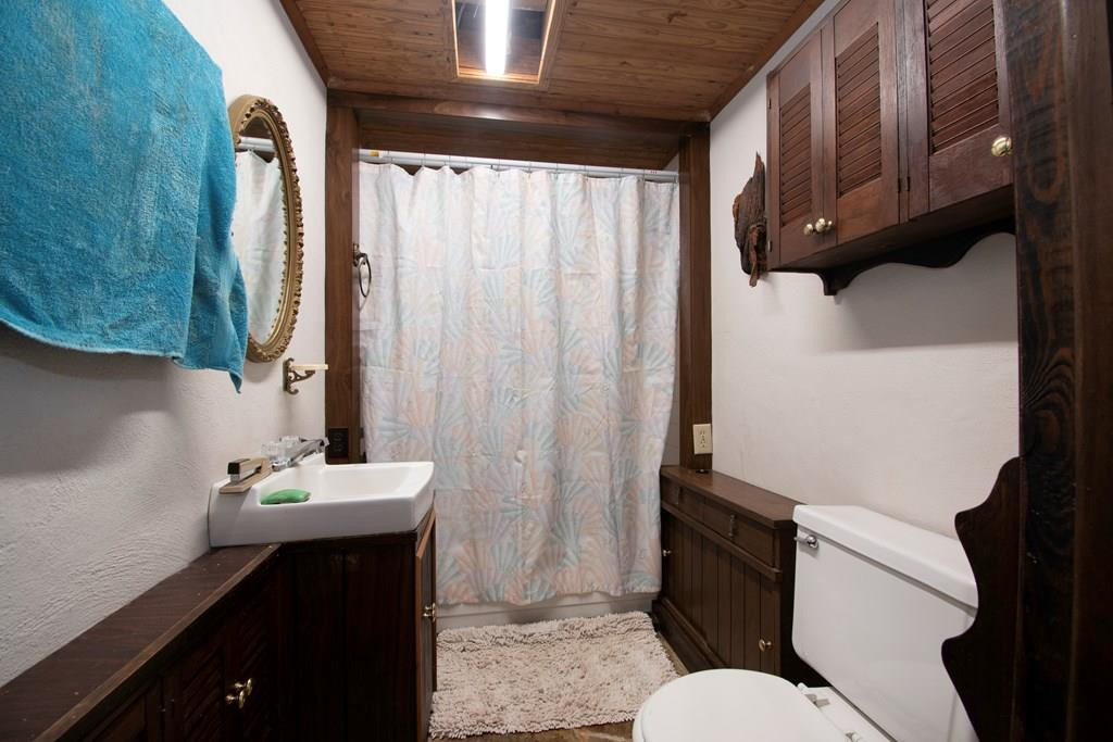 337 Simpson Mountain Road, Murphy, NC 28906 Listing Photo  22
