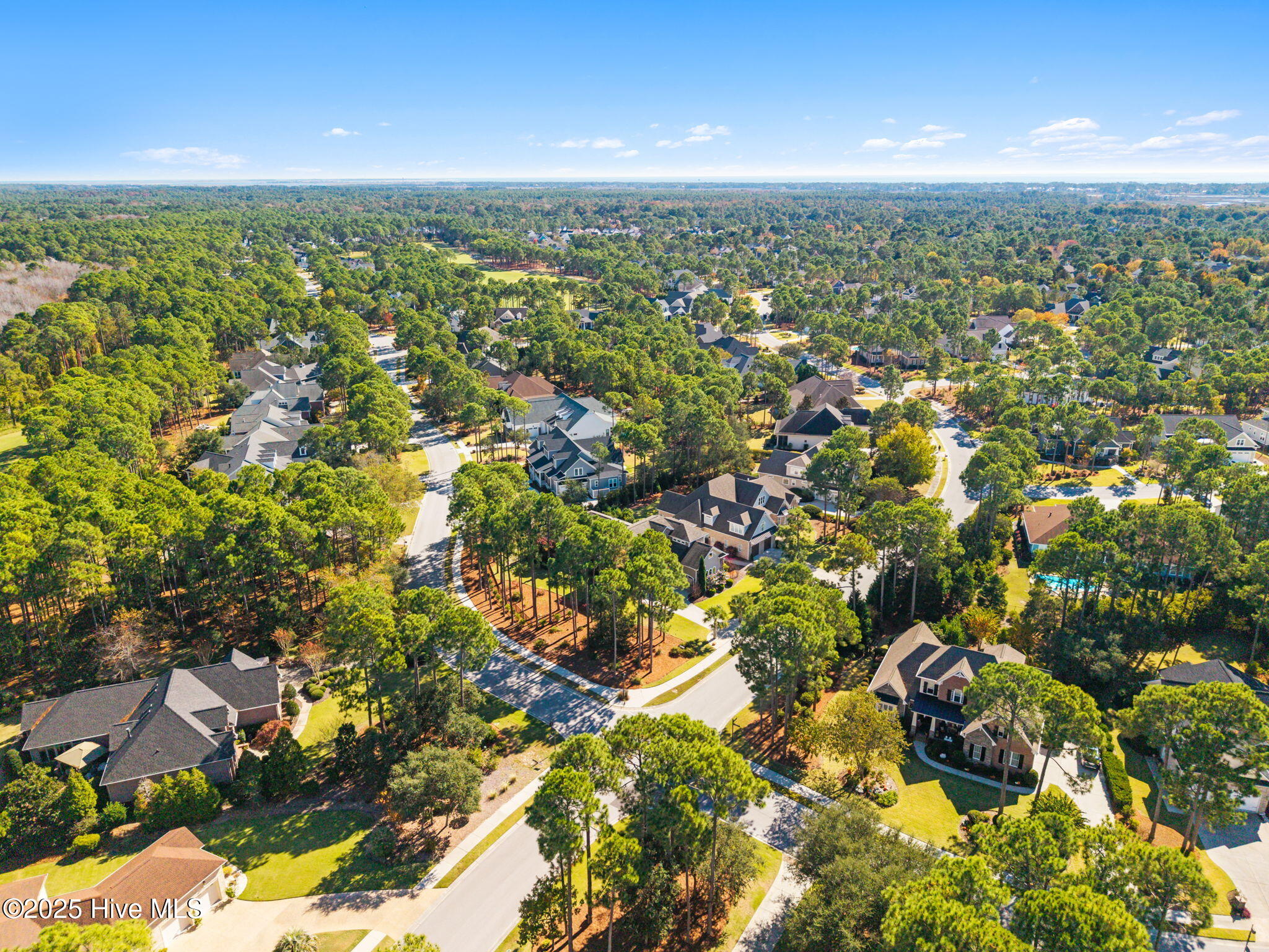 100540302 | Photo 85