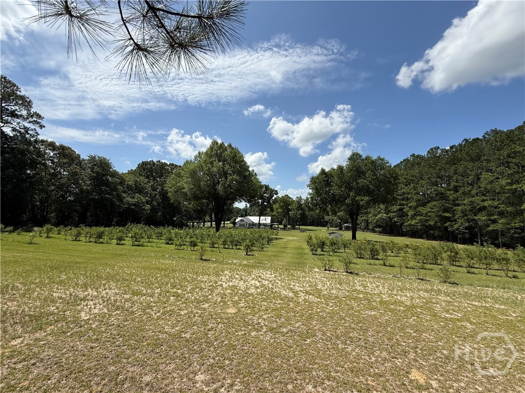 Homes for sale in Sylvania, GA | 1693 Burtons Ferry Hwy, Sylvania, GA 30467 | MLS# SA360862